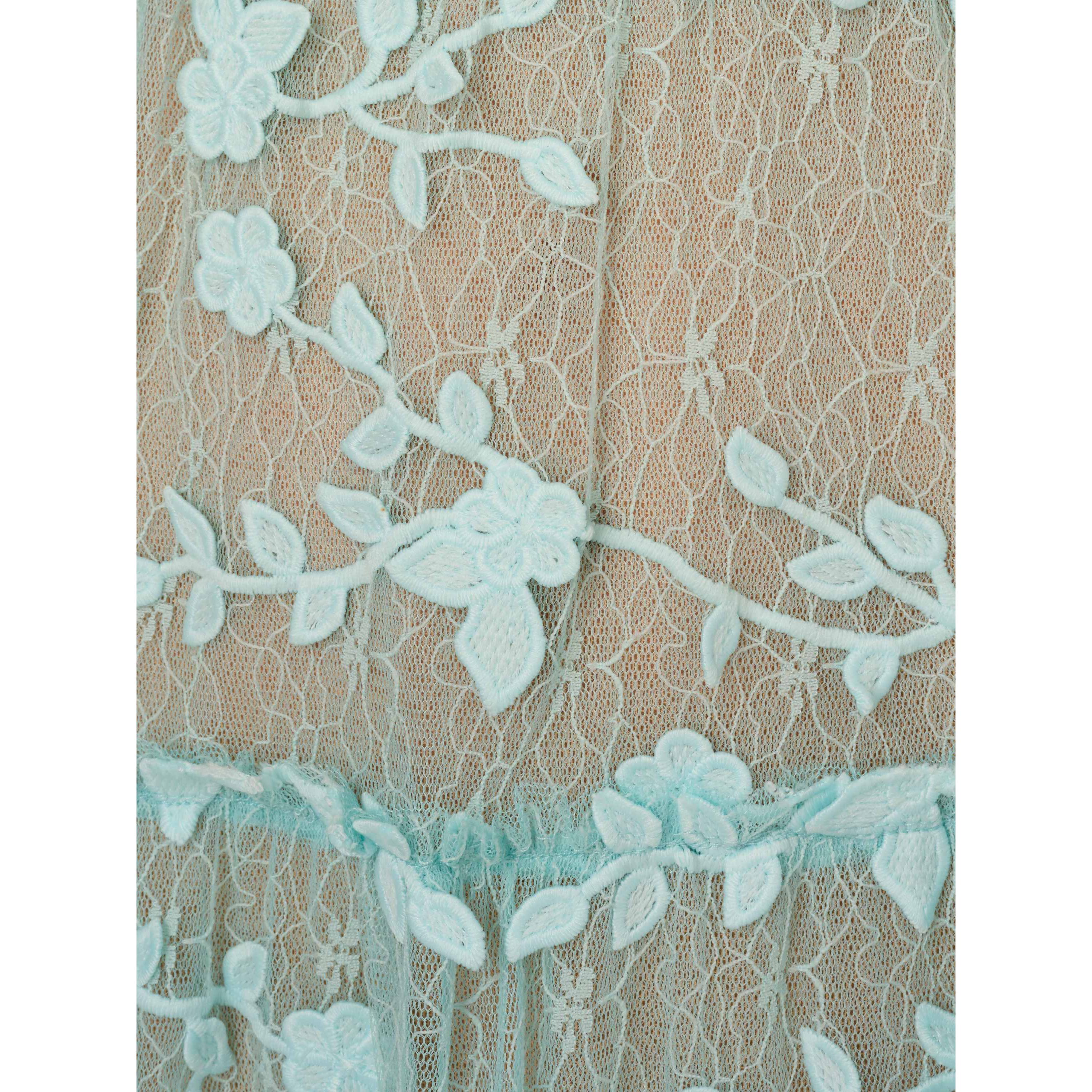 Lace Embroidery Dress