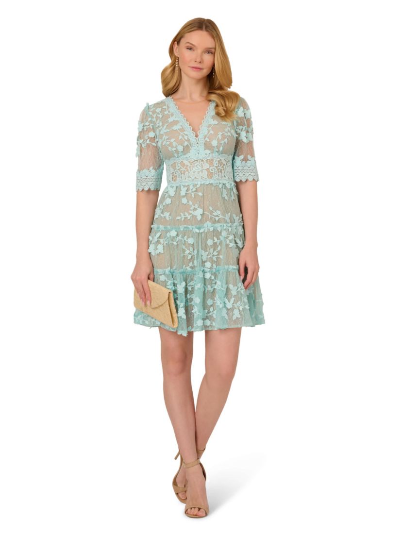 Lace Embroidery Dress