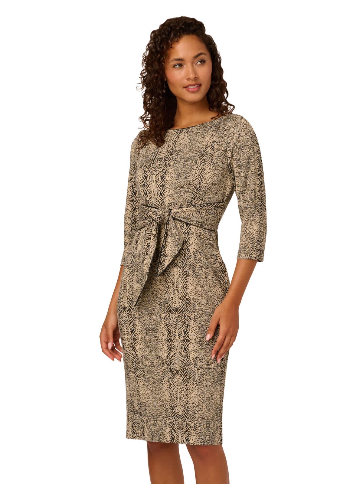 Animal Print Tie Dress