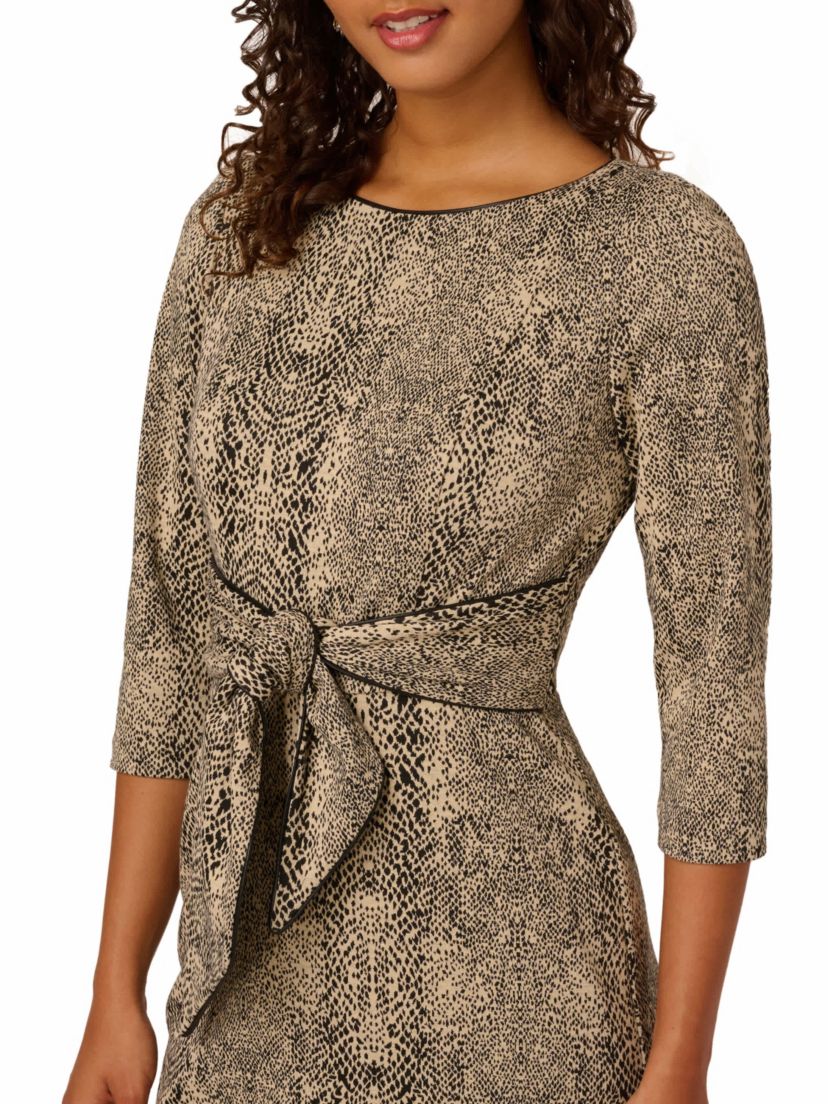 Animal Print Tie Dress