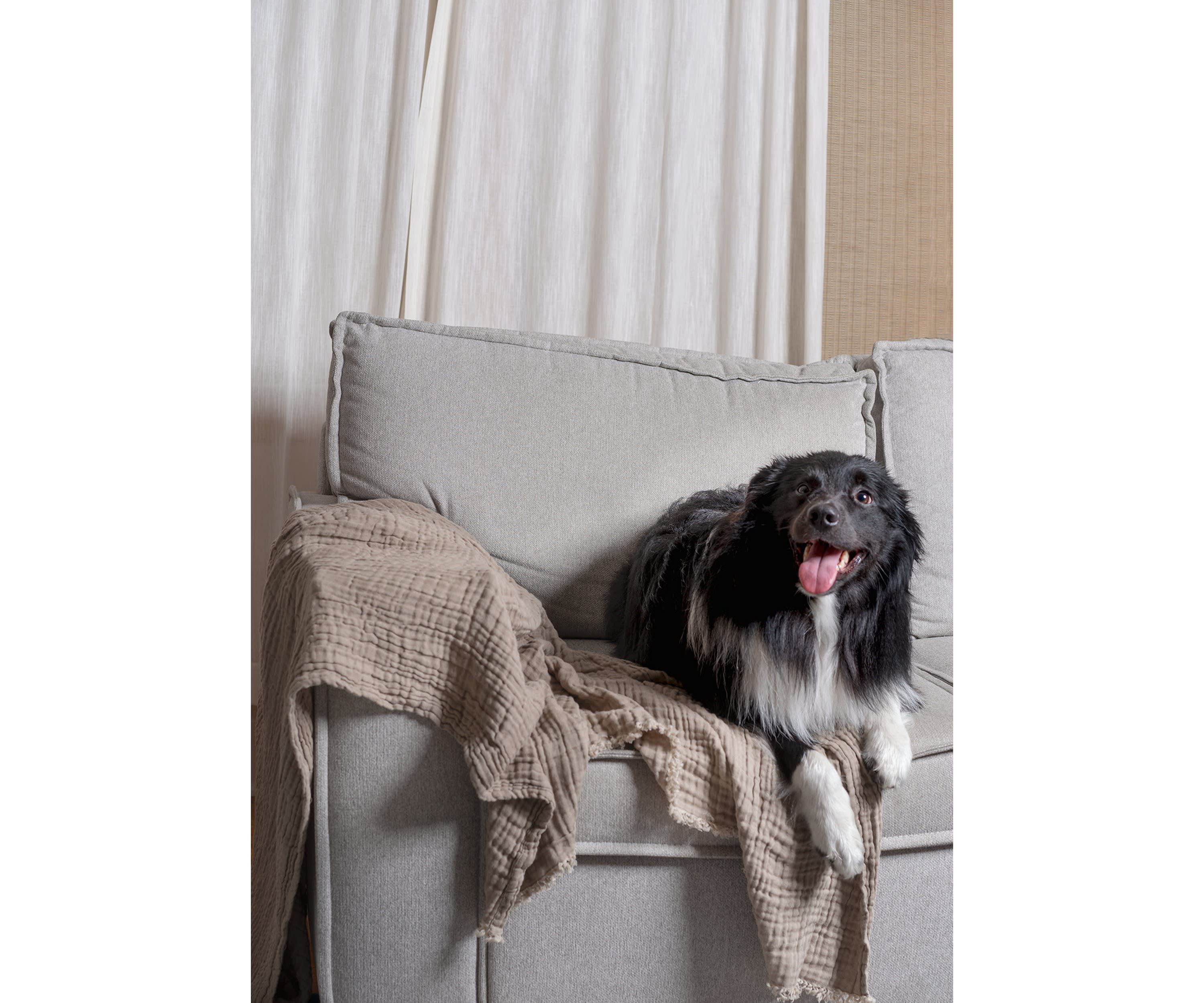 Truly Soft Two-Toned Organic Throw Blanket in Olive Green
