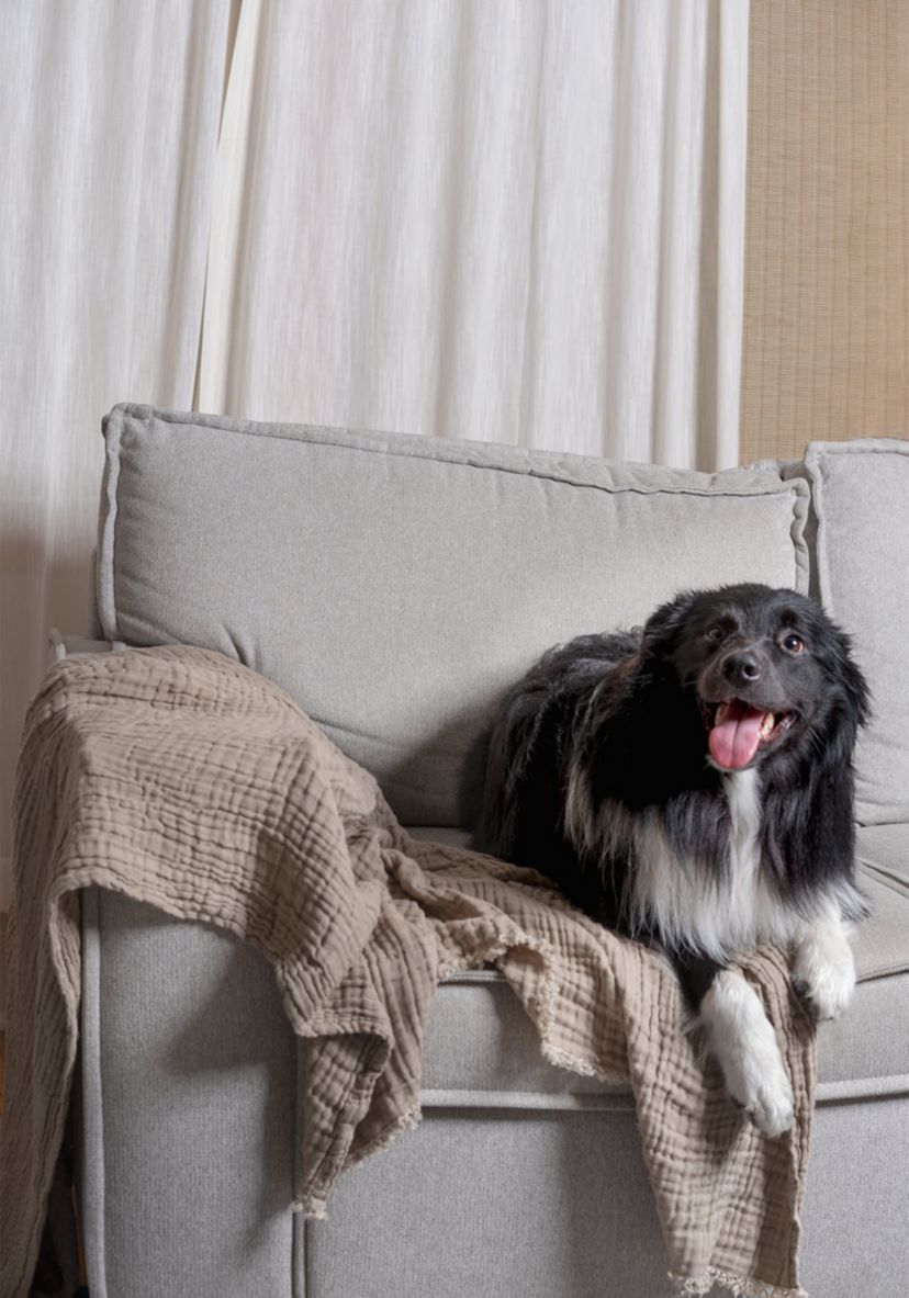 Truly Soft Two-Toned Organic Throw Blanket in Olive Green
