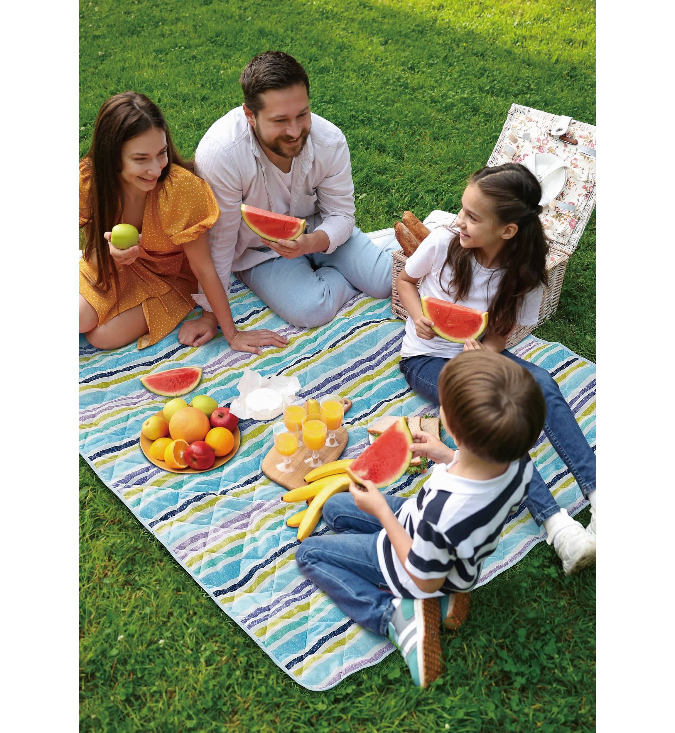 Scout Guys and Dots 60x72 Water Resistant Outdoor Blanket