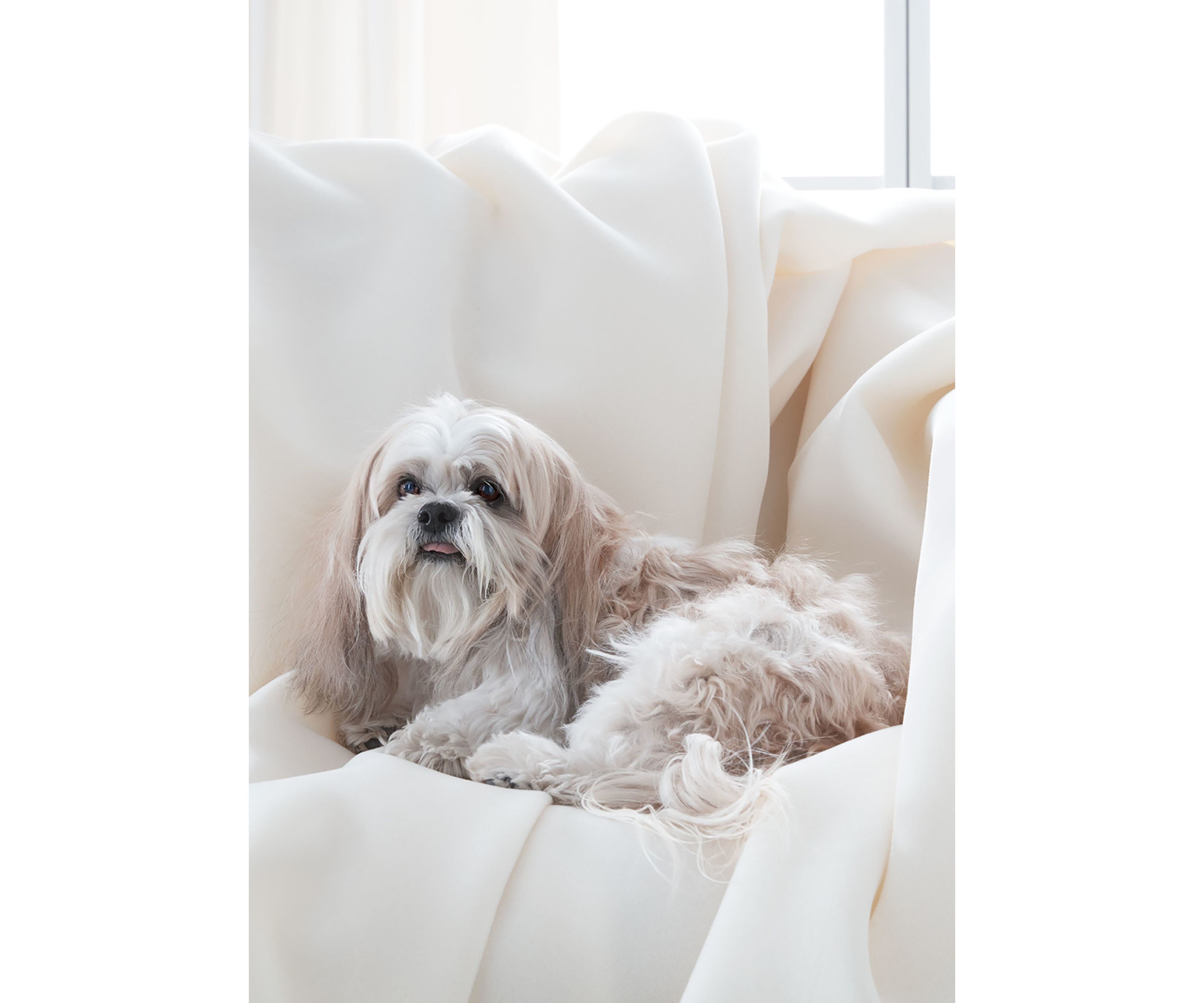 Original Blanket