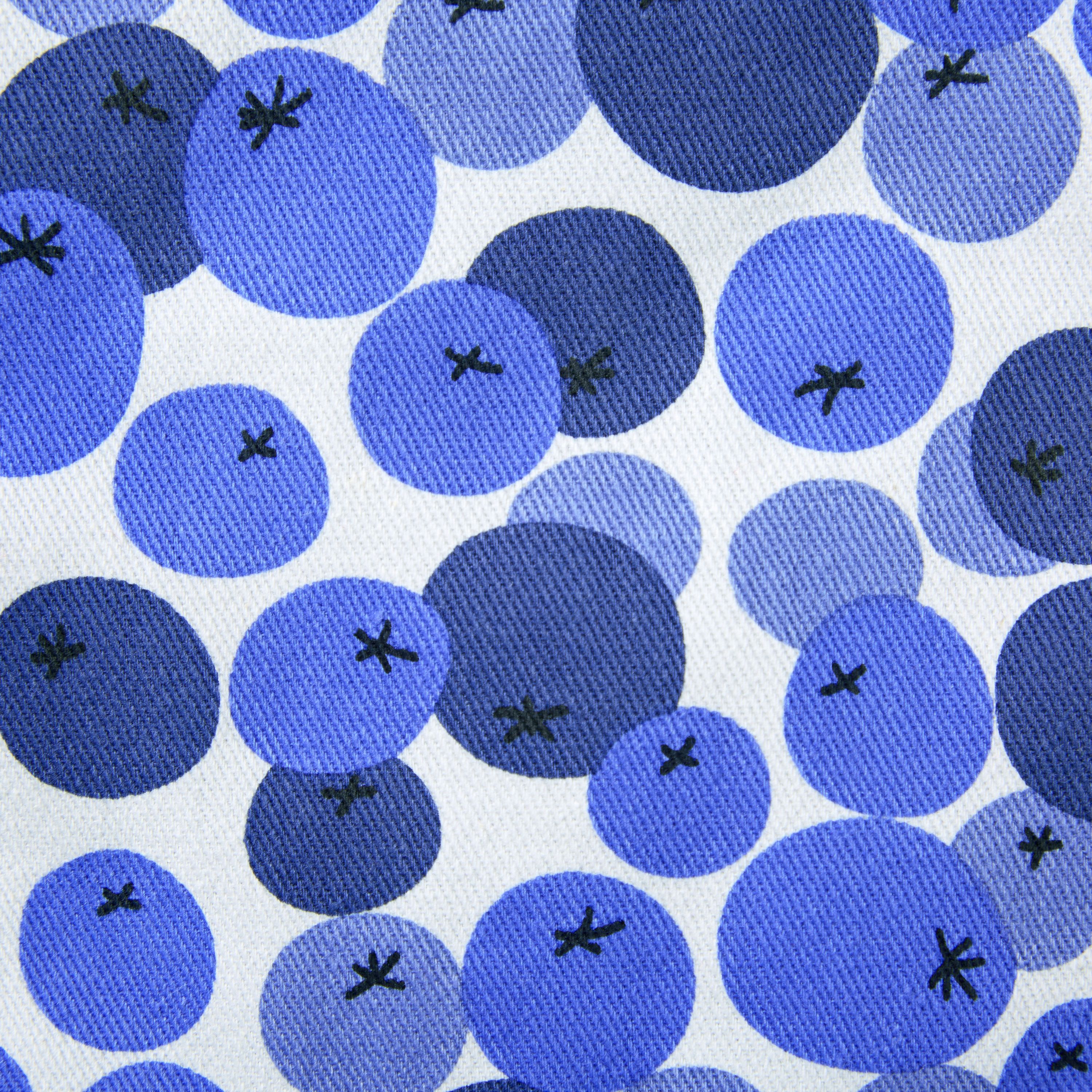 Fresh Blueberries Fruit Blue/White Potholder Set