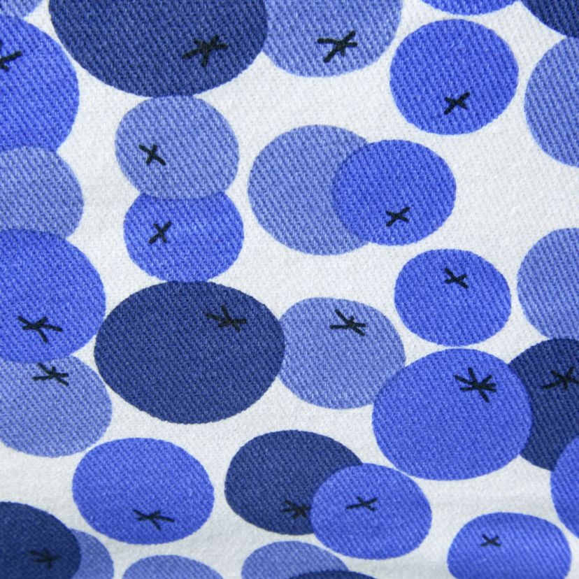 Fresh Blueberries Fruit Blue/White Mini Oven Mitt Set