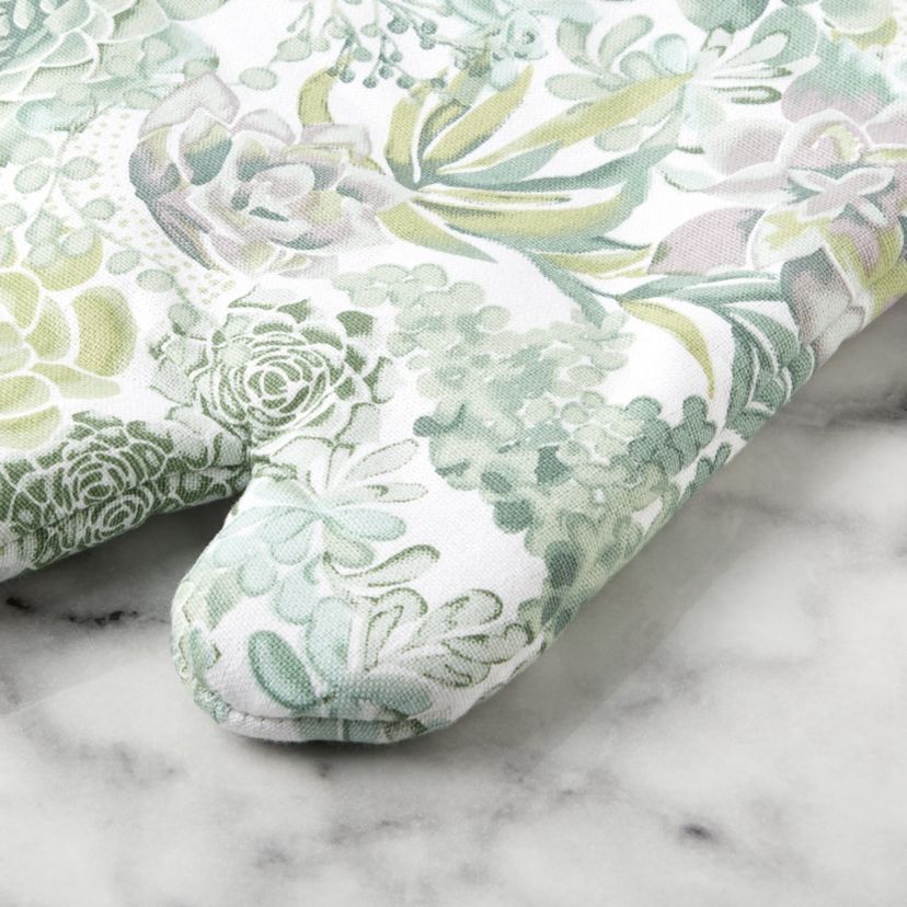 Succulents Oven Mitt Set