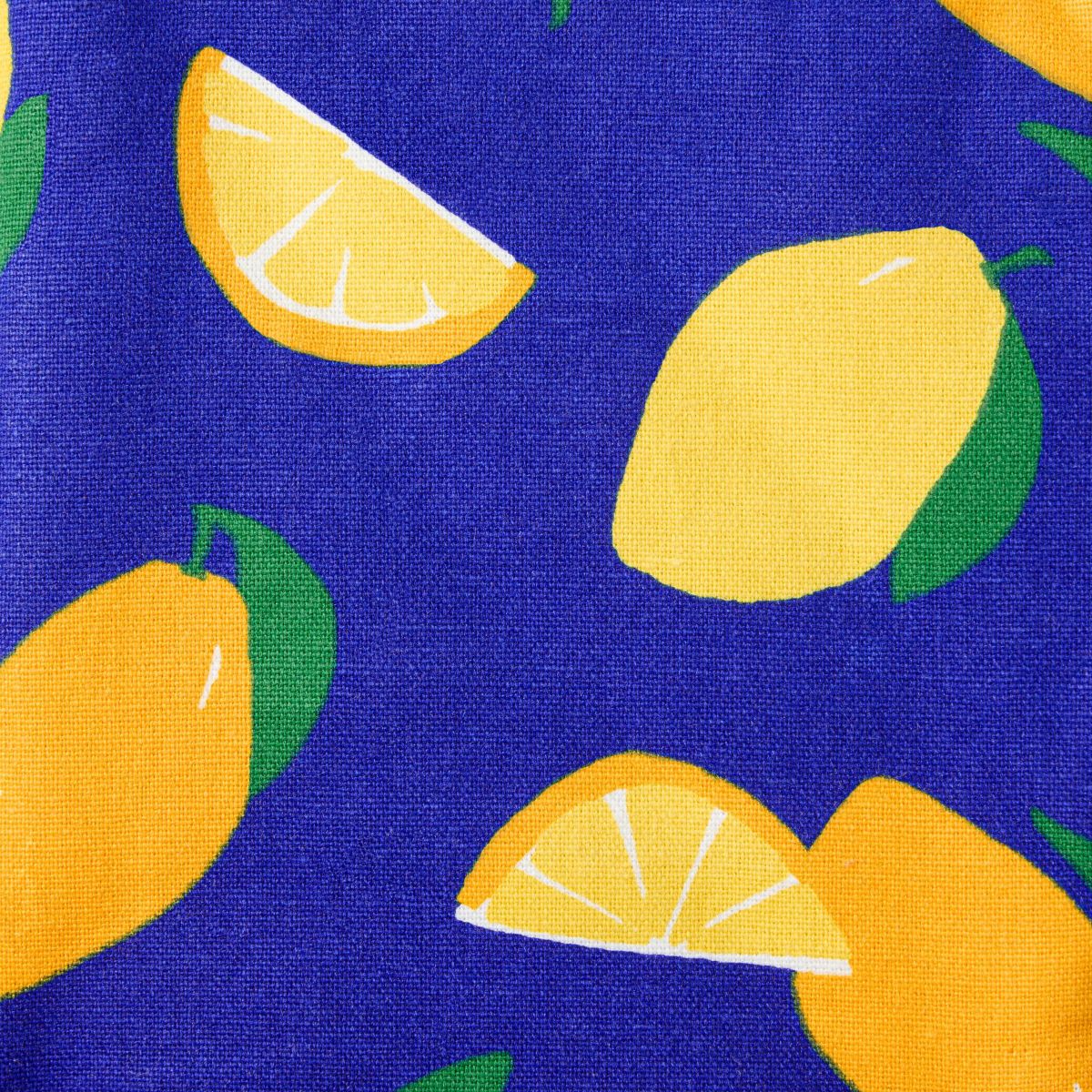 Lemon Party Oven Mitt Set