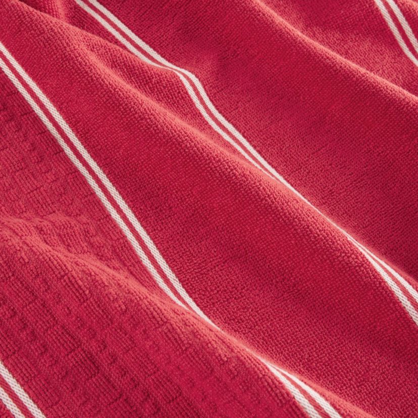Botanical Stripe Kitchen Towel Set