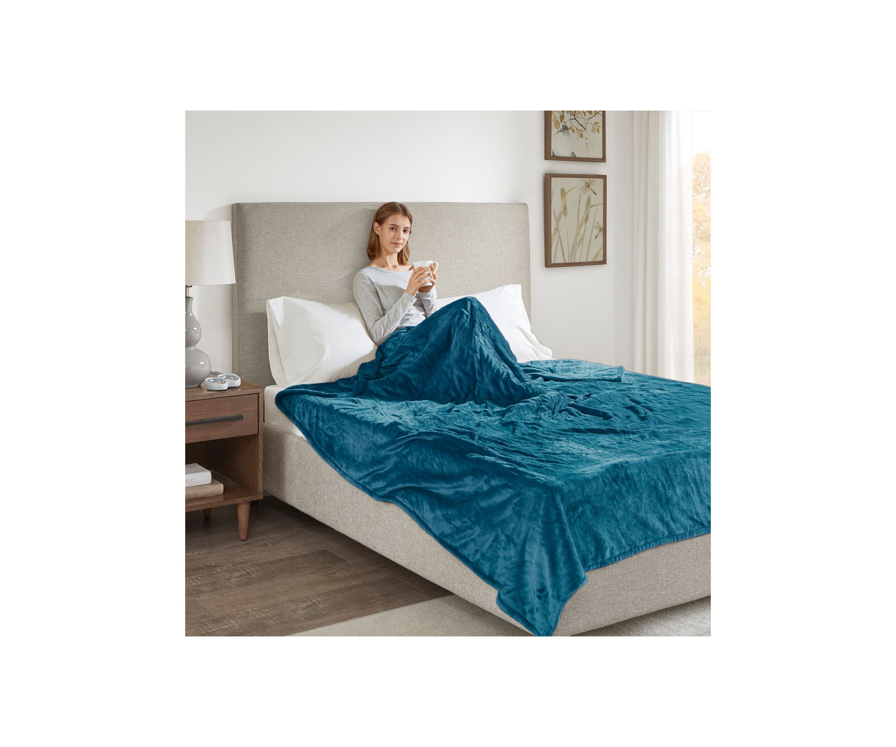 Heated Plush Blanket