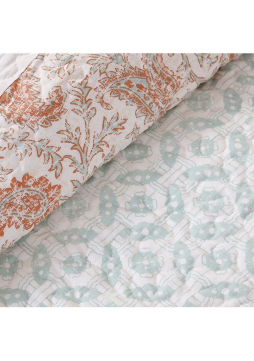 Dawn 6 Piece Cotton Percale Comforter Set with Throw Pillows