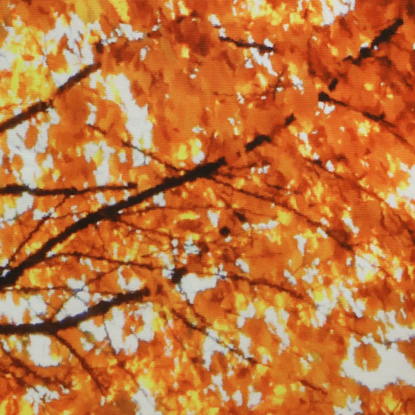 Fall Tree Window Panel Pair