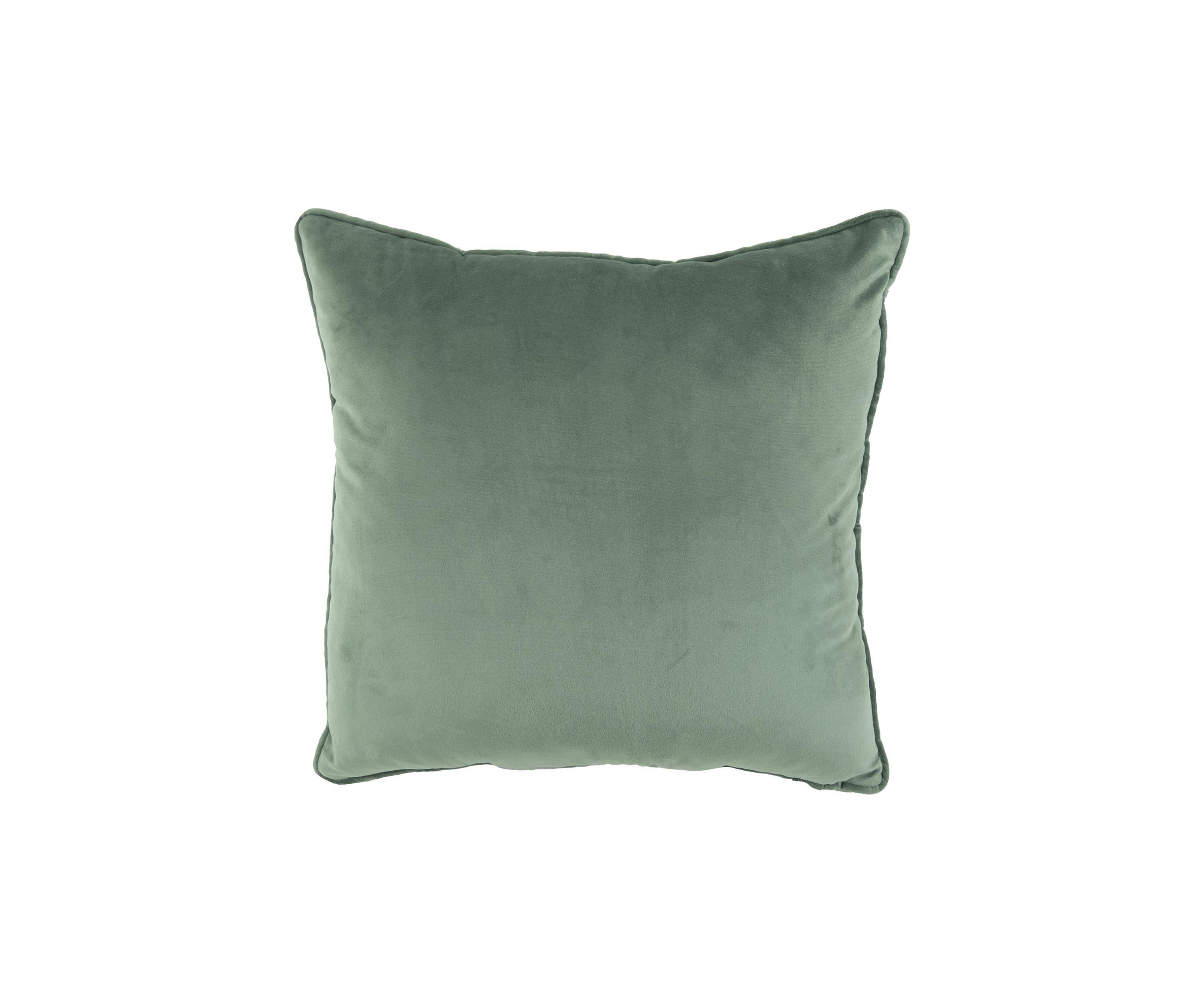 Teddy Plush Decorative Pillow