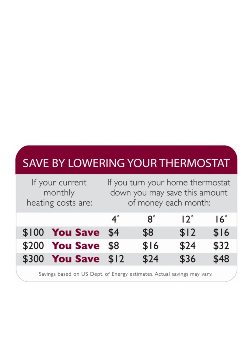 Micro Fleece Warming Blanket
