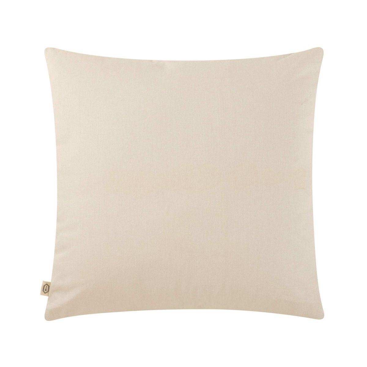 Remel Abstract Cotton Rich Decorative Pillow