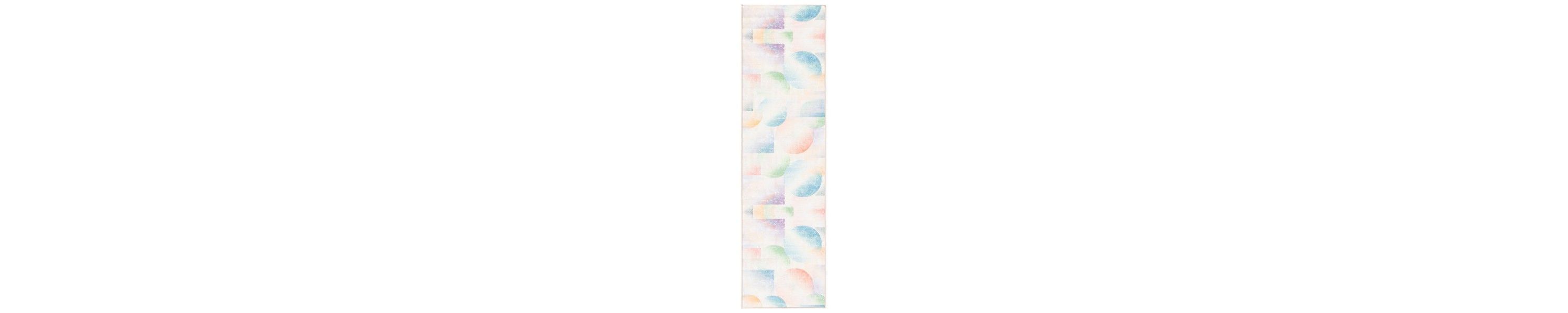 Paint Brush Collection 187 Rug