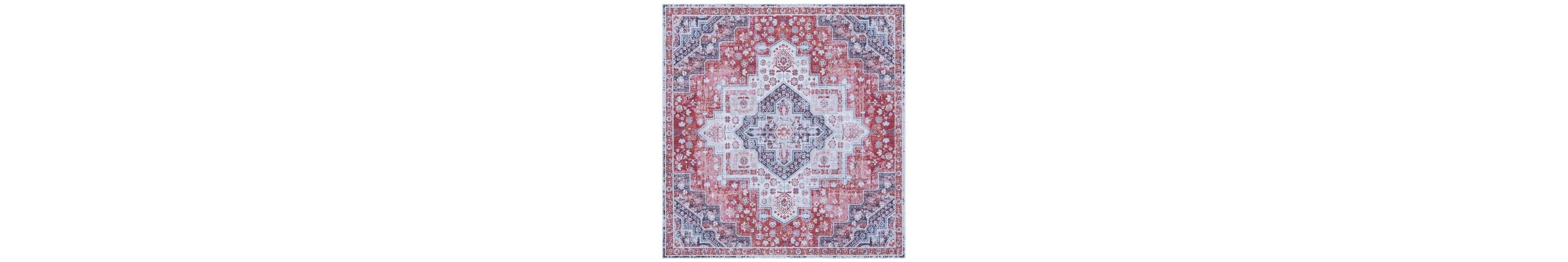 Serapi Collection 563 Rug