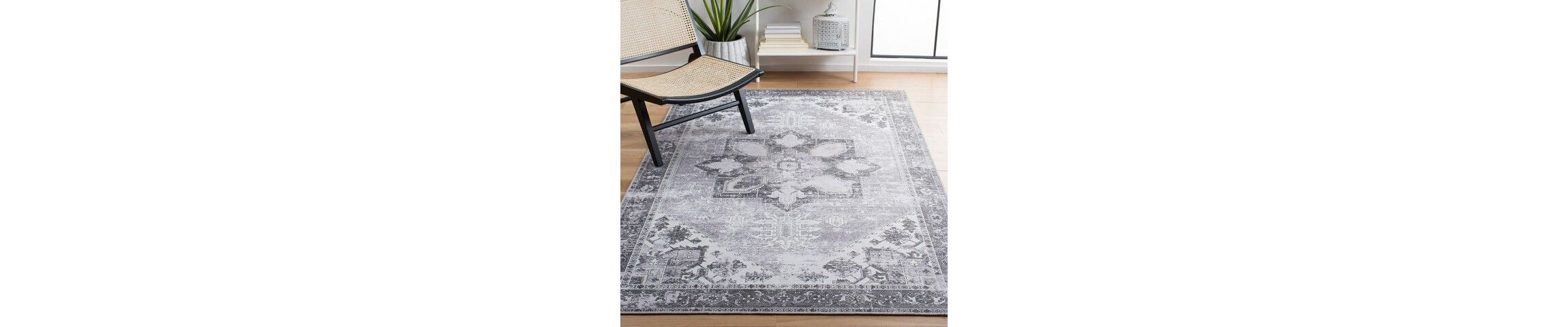Tucson Collection 102 Rug