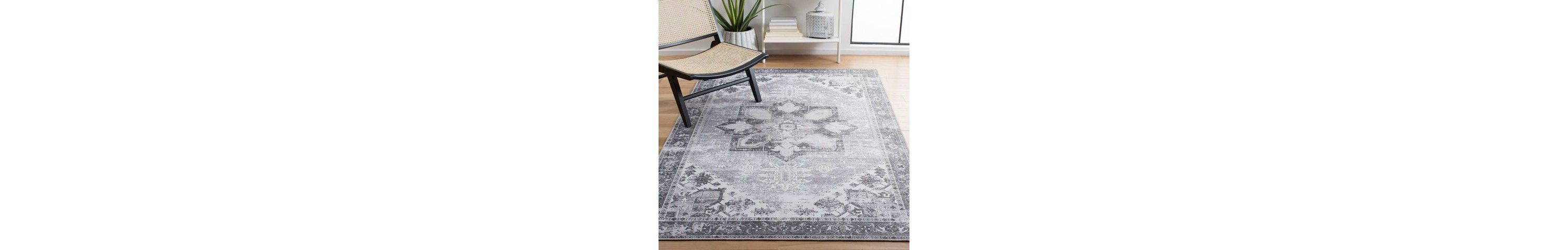 Tucson Collection 102 Rug
