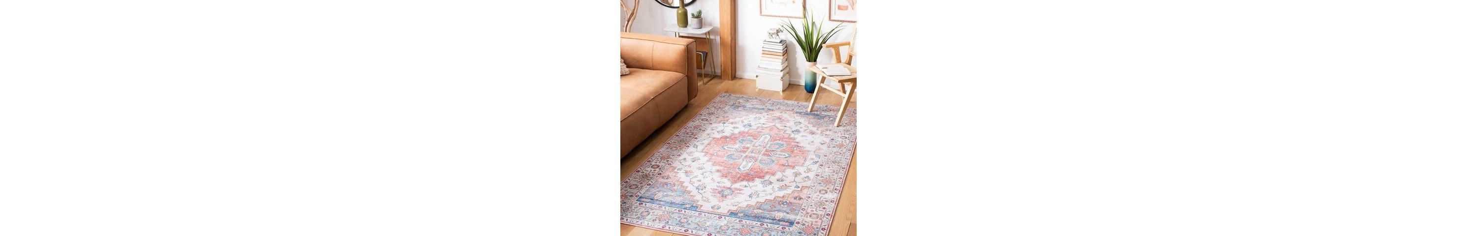 Tucson Collection 109 Rug