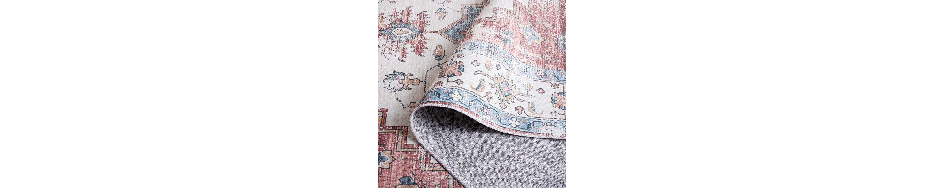 Arizona Washable Collection 209 Rug