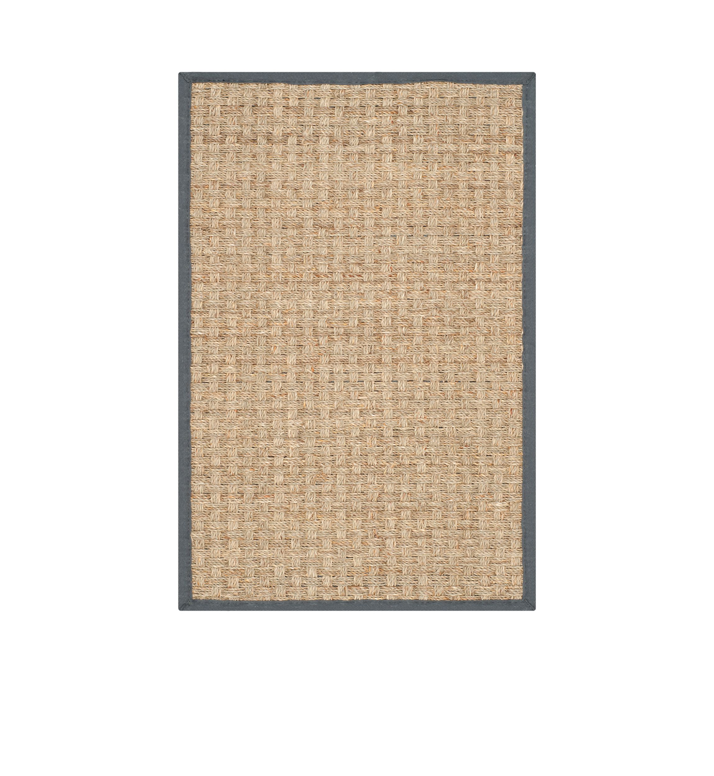 Natural Fiber Natural/Dark Gray Area Rug