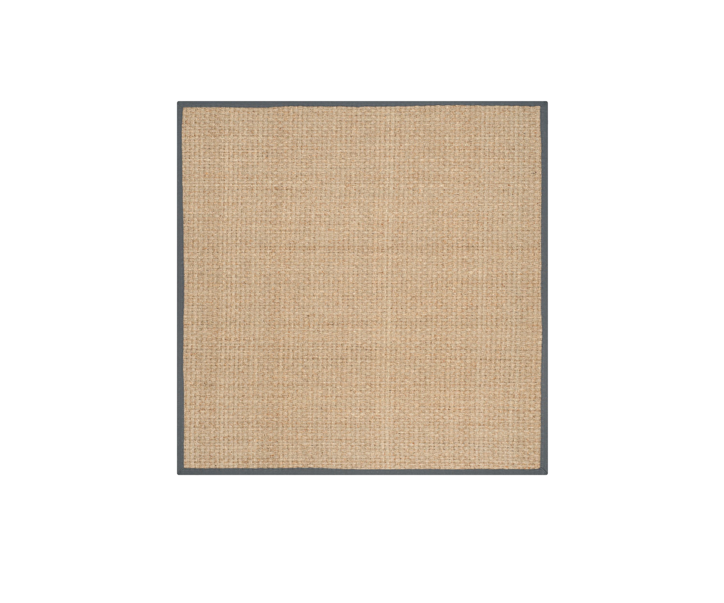 Natural Fiber Natural/Dark Gray Area Rug