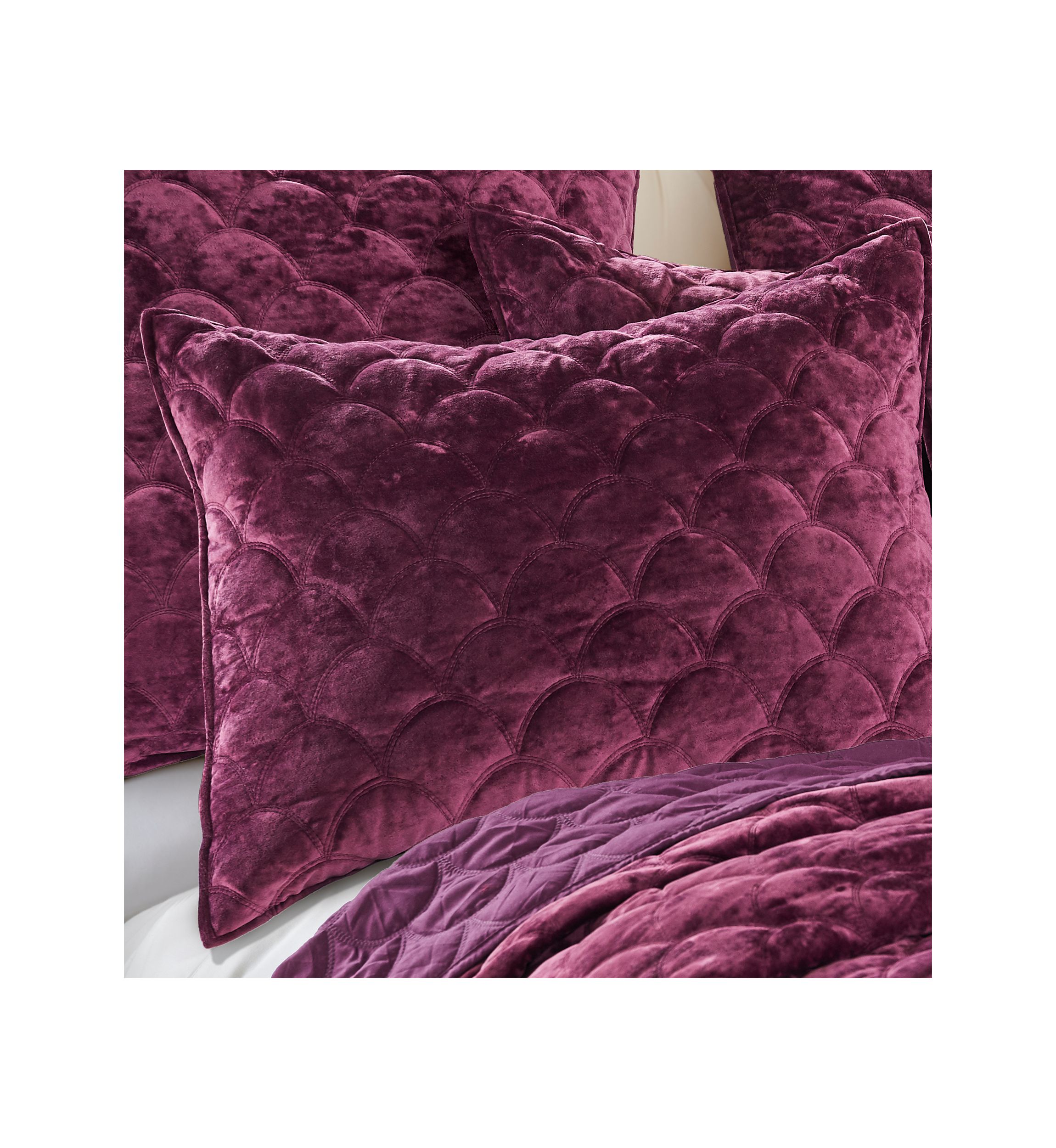 Ellora Sham
