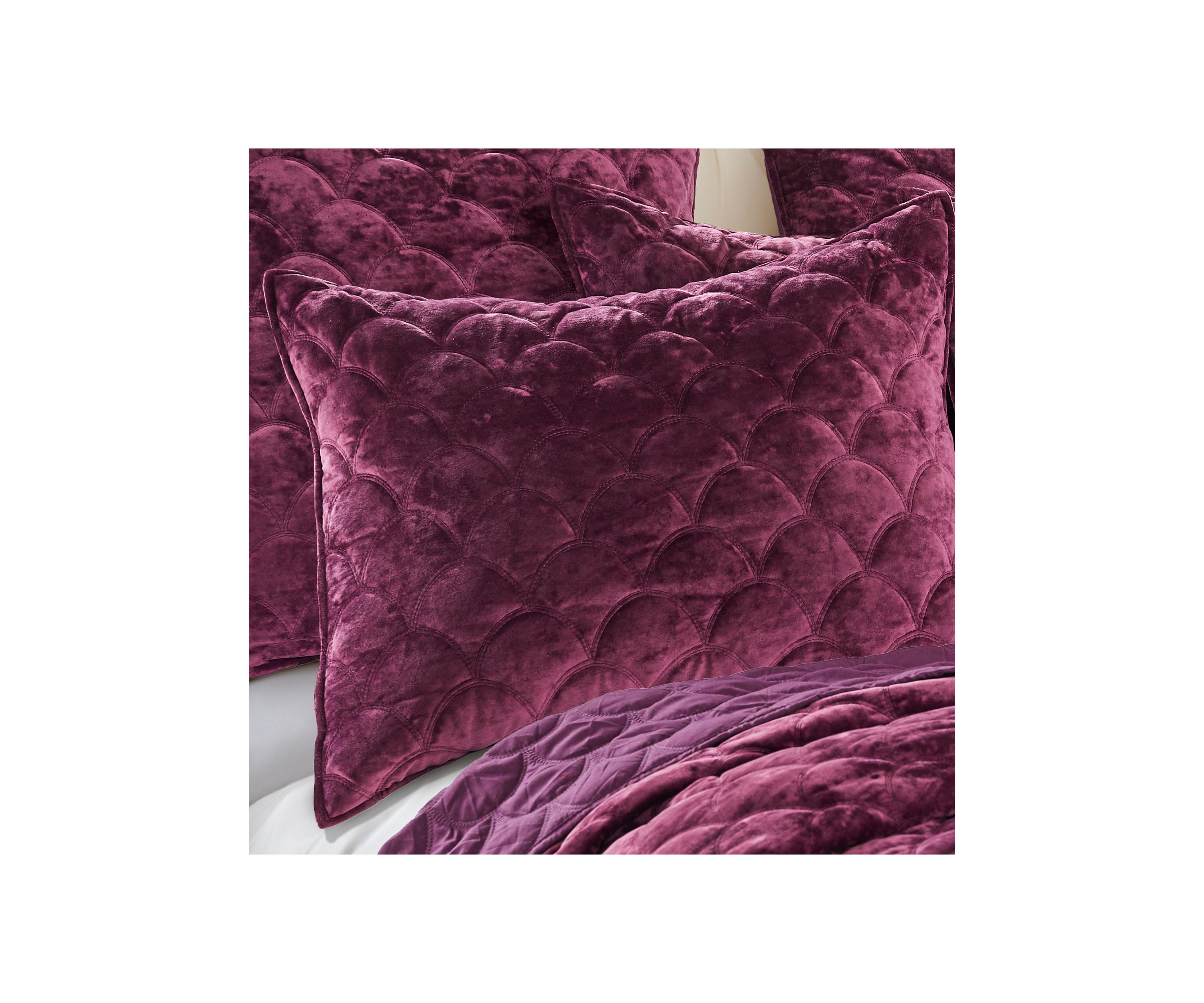 Ellora Sham
