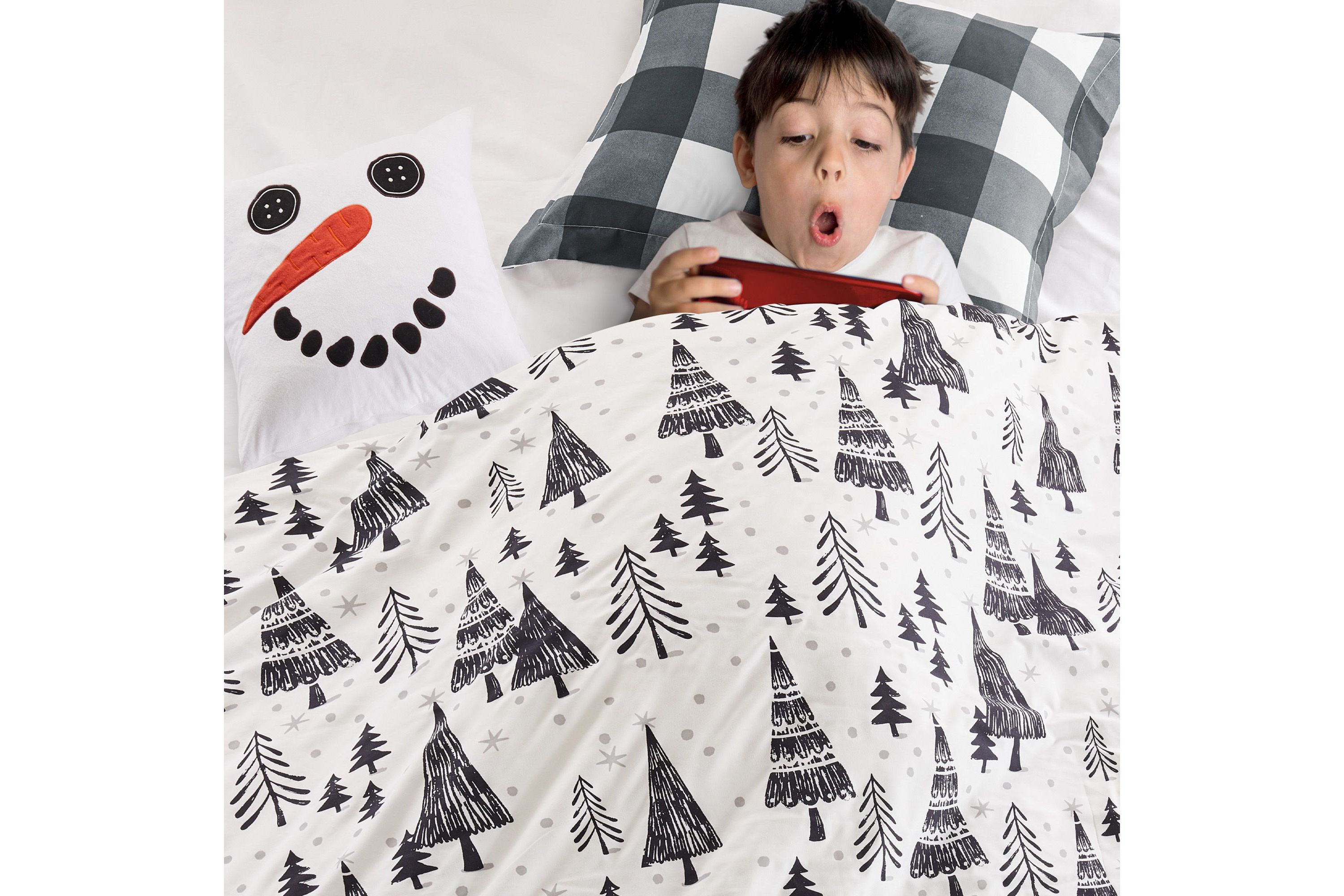 Northern Star Comforter Set