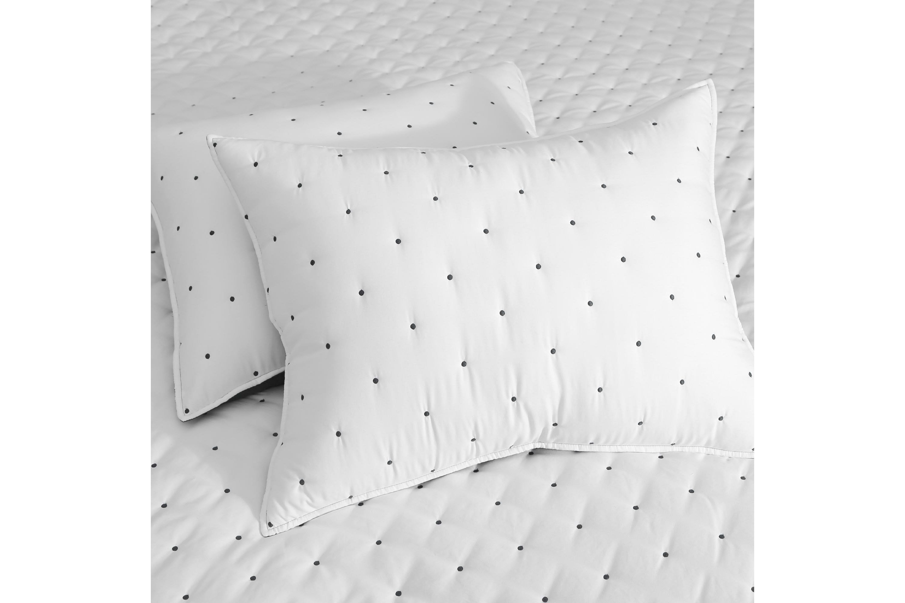 Embroidered Swiss Dot Quilt Set