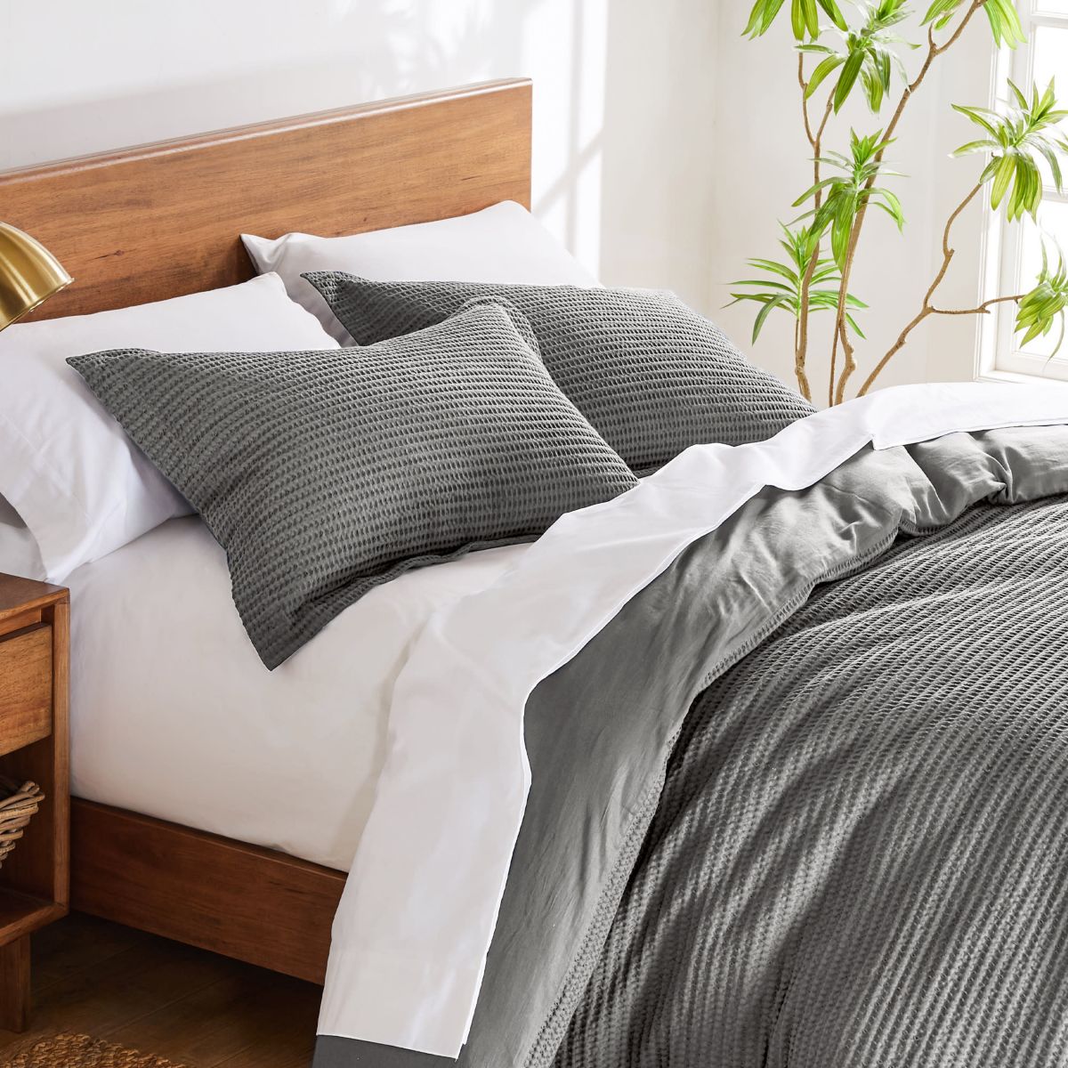 Pickford Green Twin 2pc Comforter Set