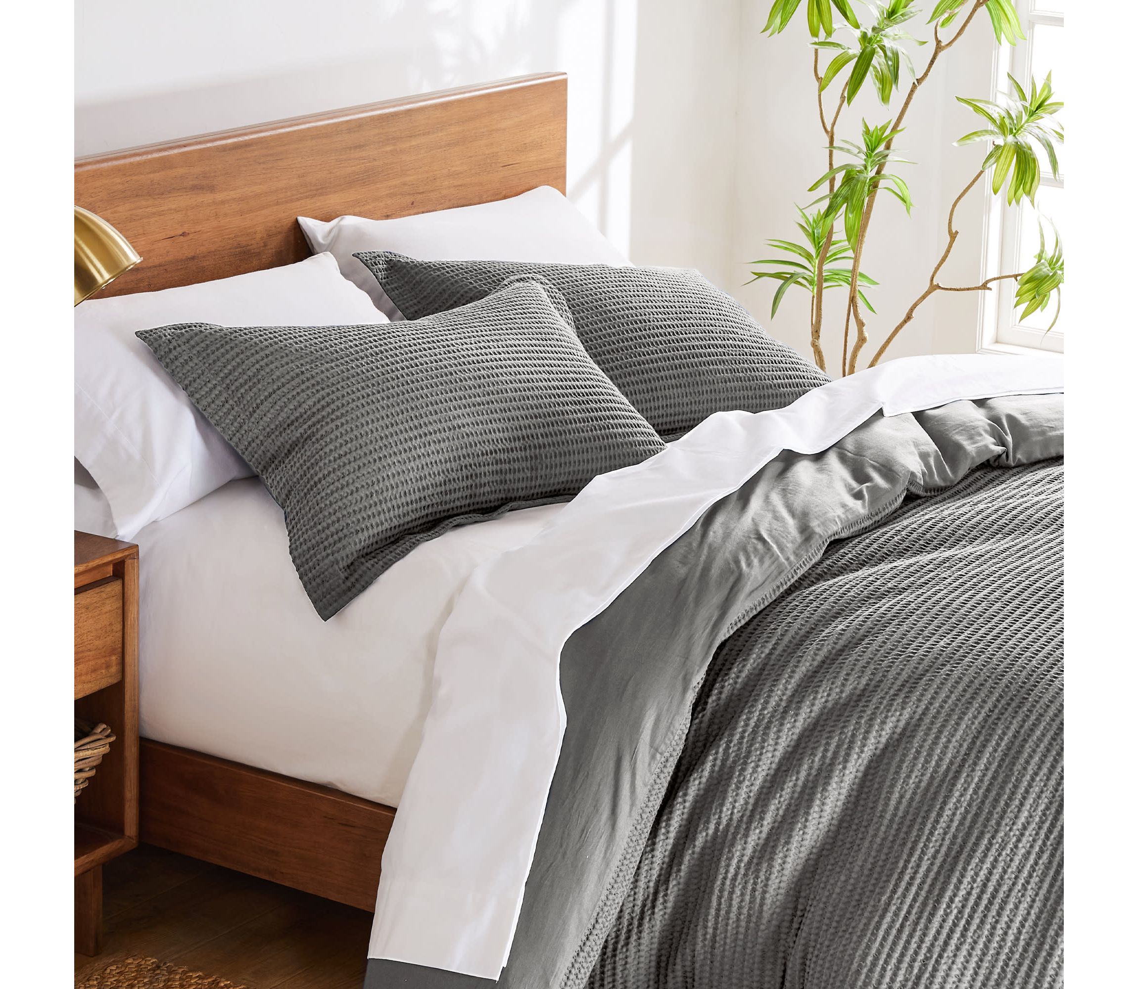 Pickford Green Twin 2pc Comforter Set