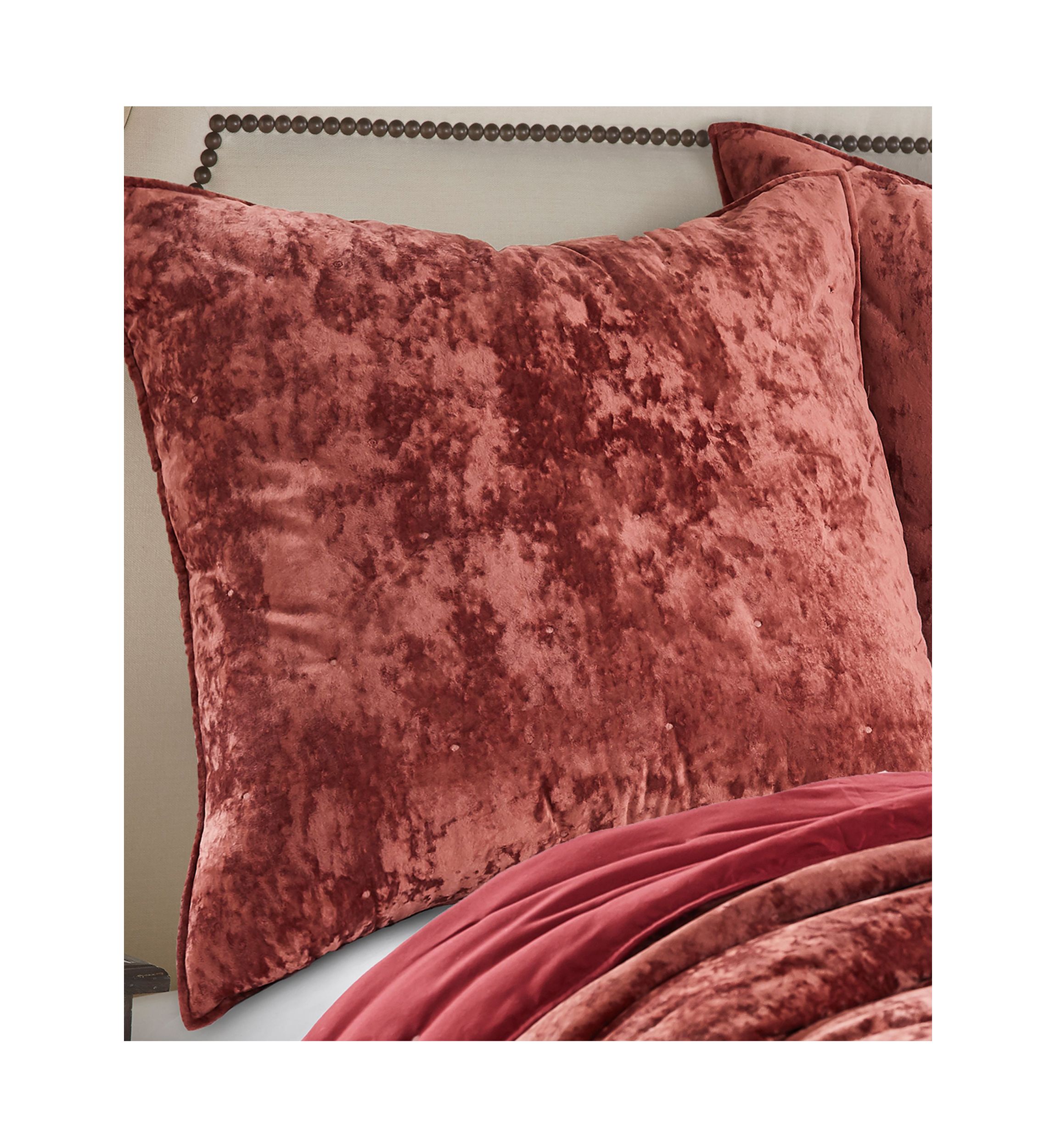 Velvet Spice Euro Sham