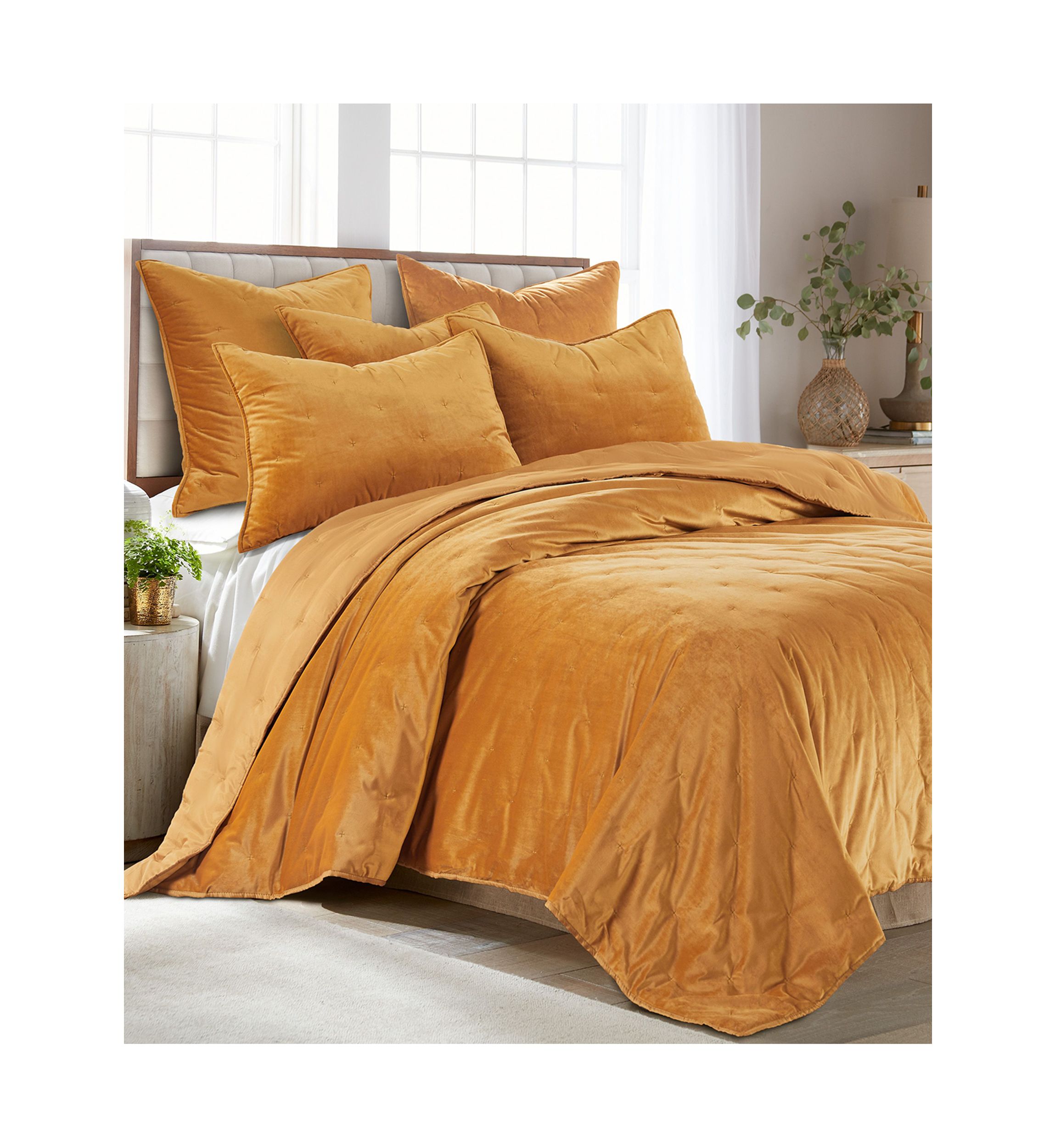 Velvet Ochre Euro Sham