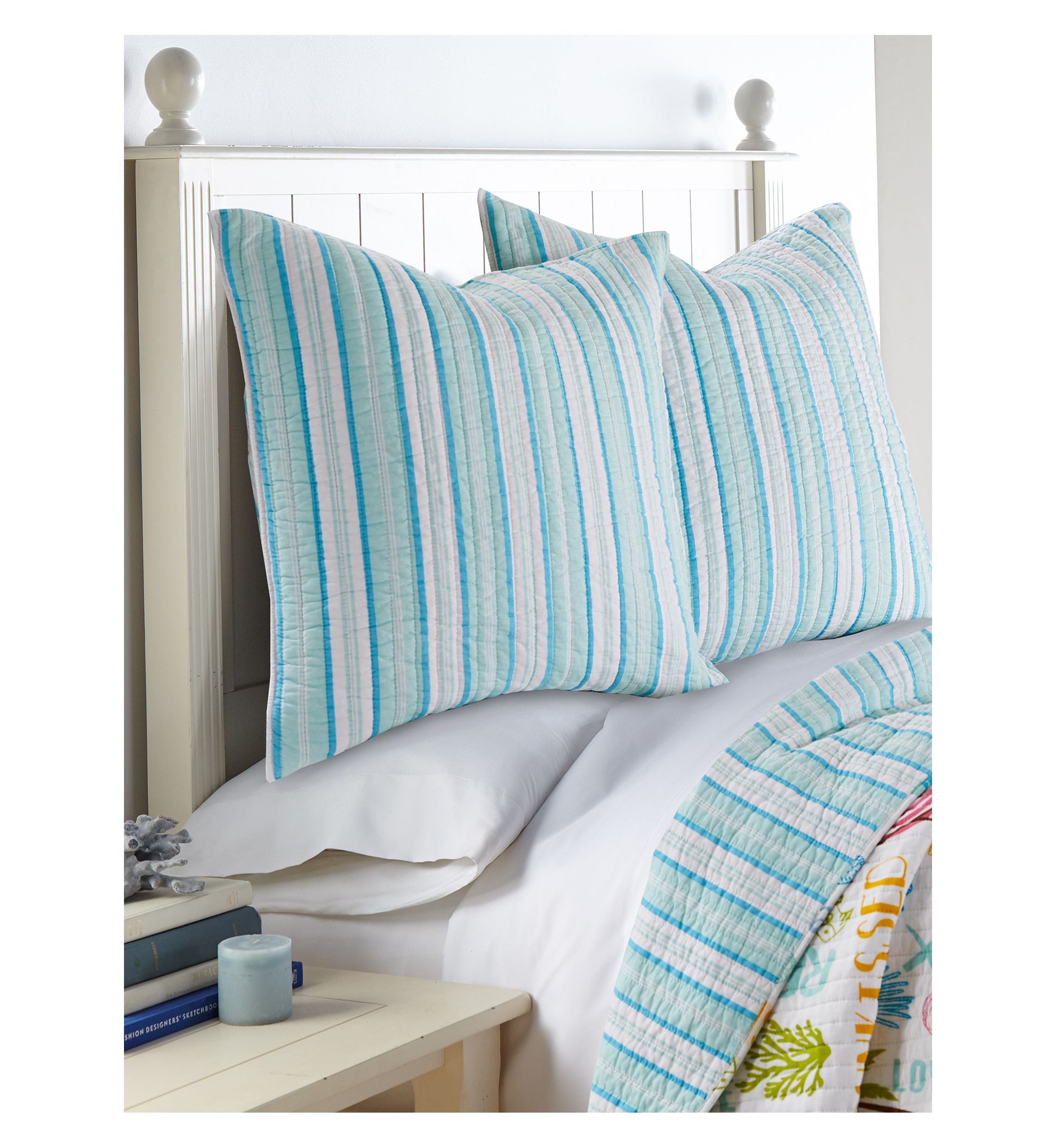 Beach Days Euro Shams Set of 2