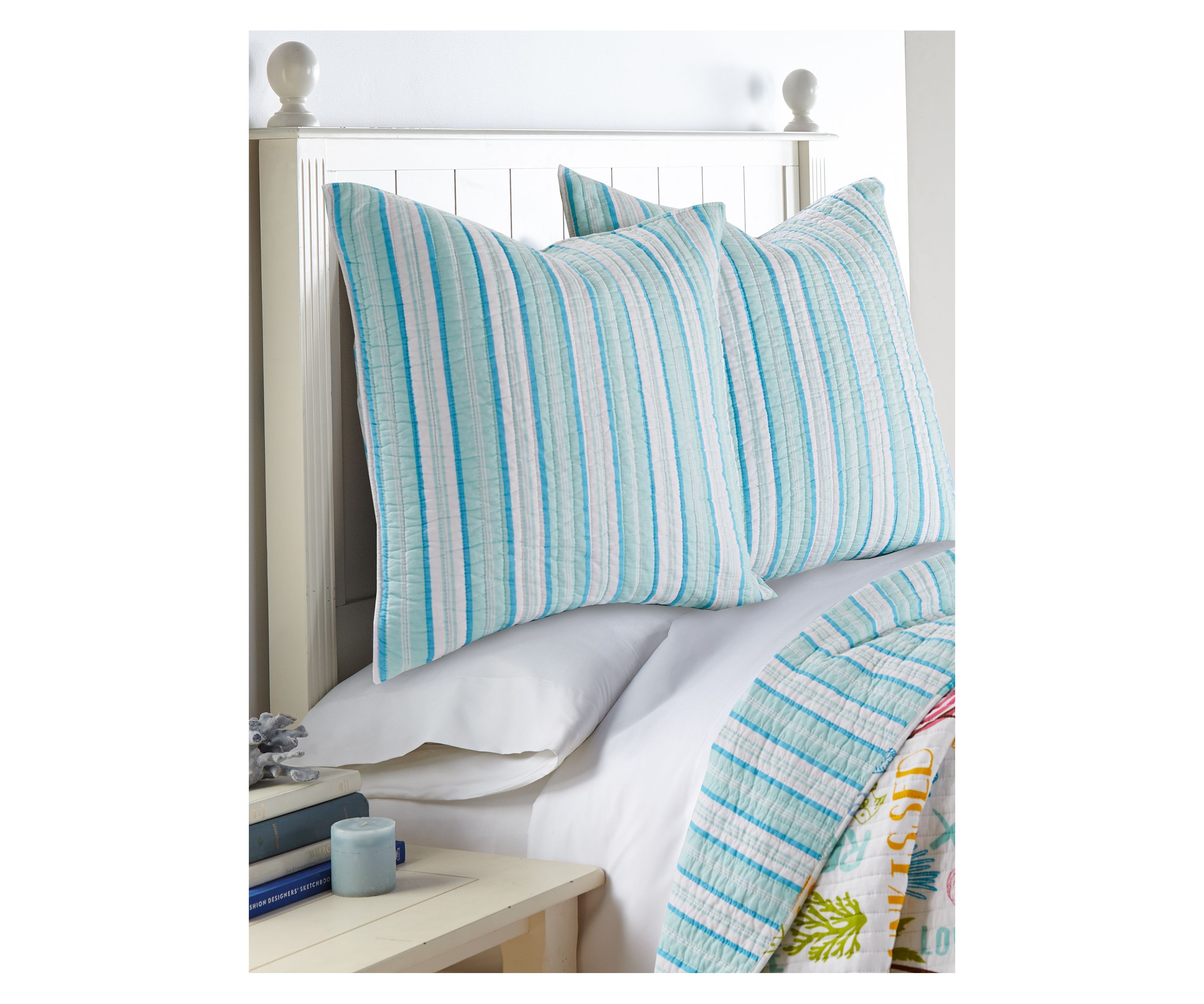 Beach Days Euro Shams Set of 2
