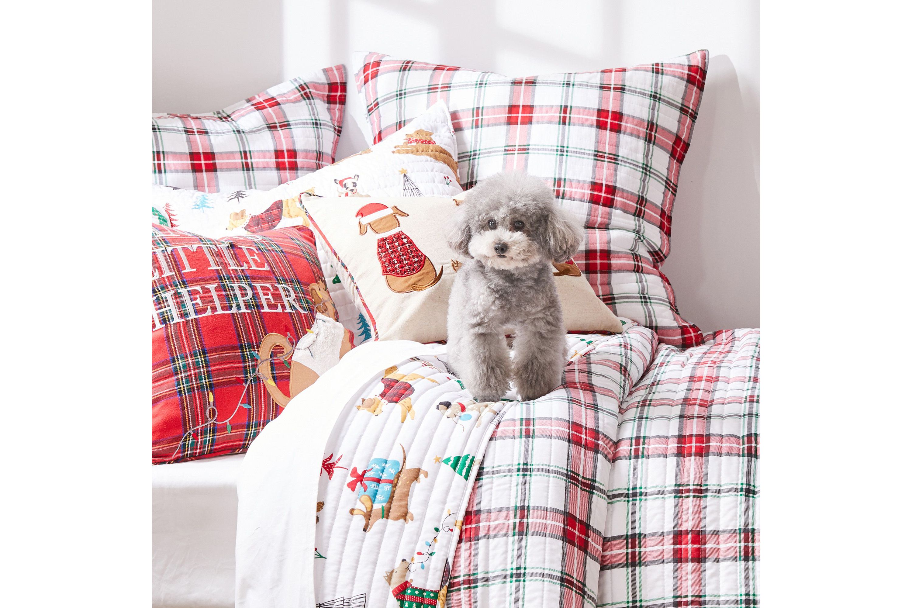 Jingle Paws Euro Sham Set of 2