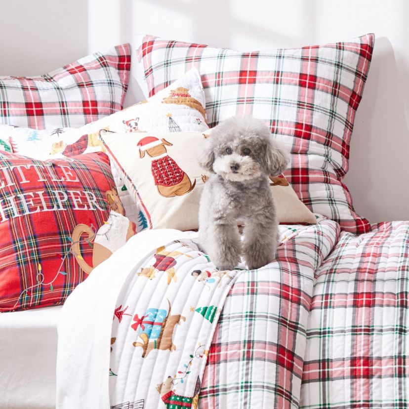 Jingle Paws Euro Sham Set of 2