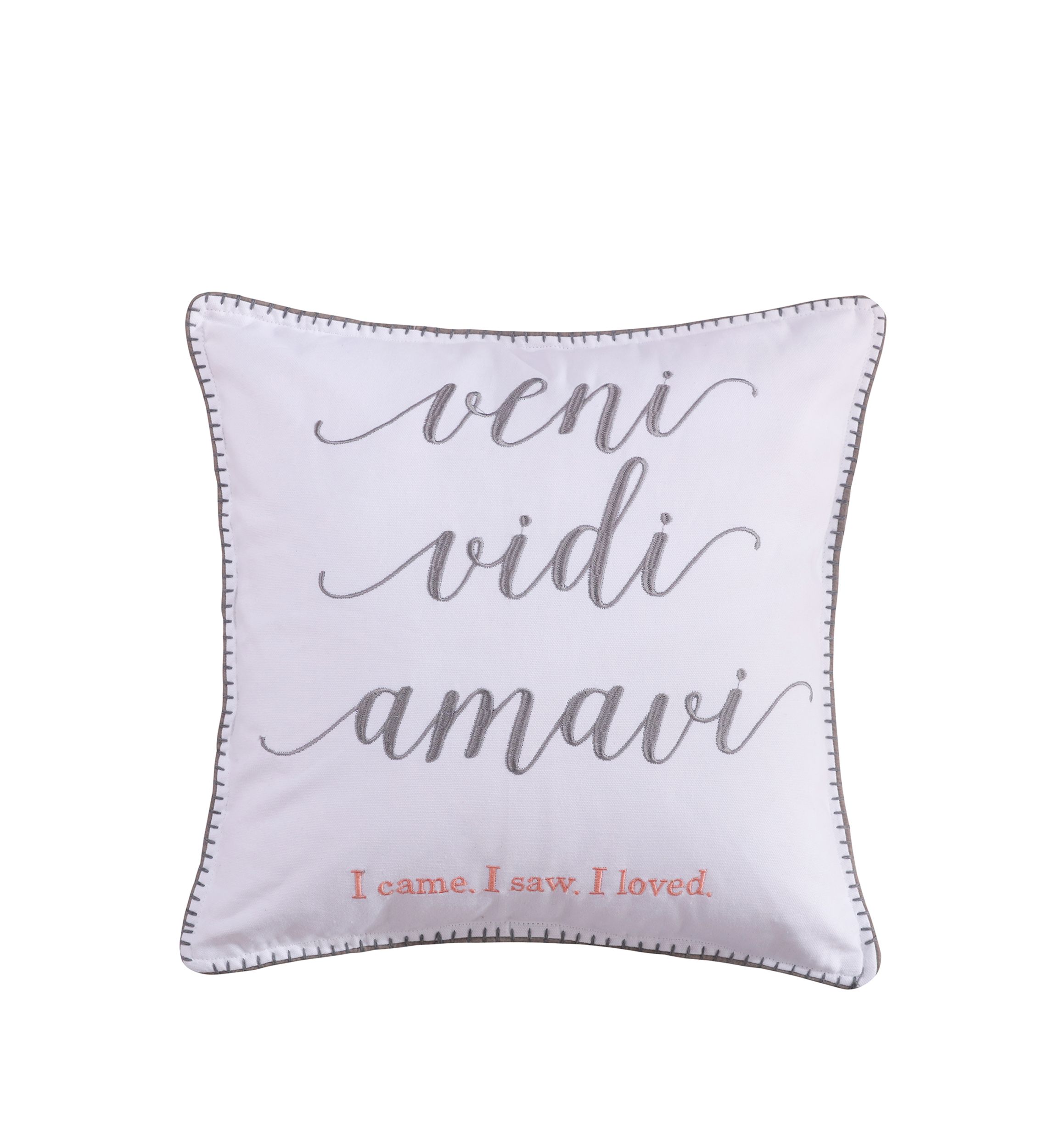 Darcy Veni Vidi Pillow