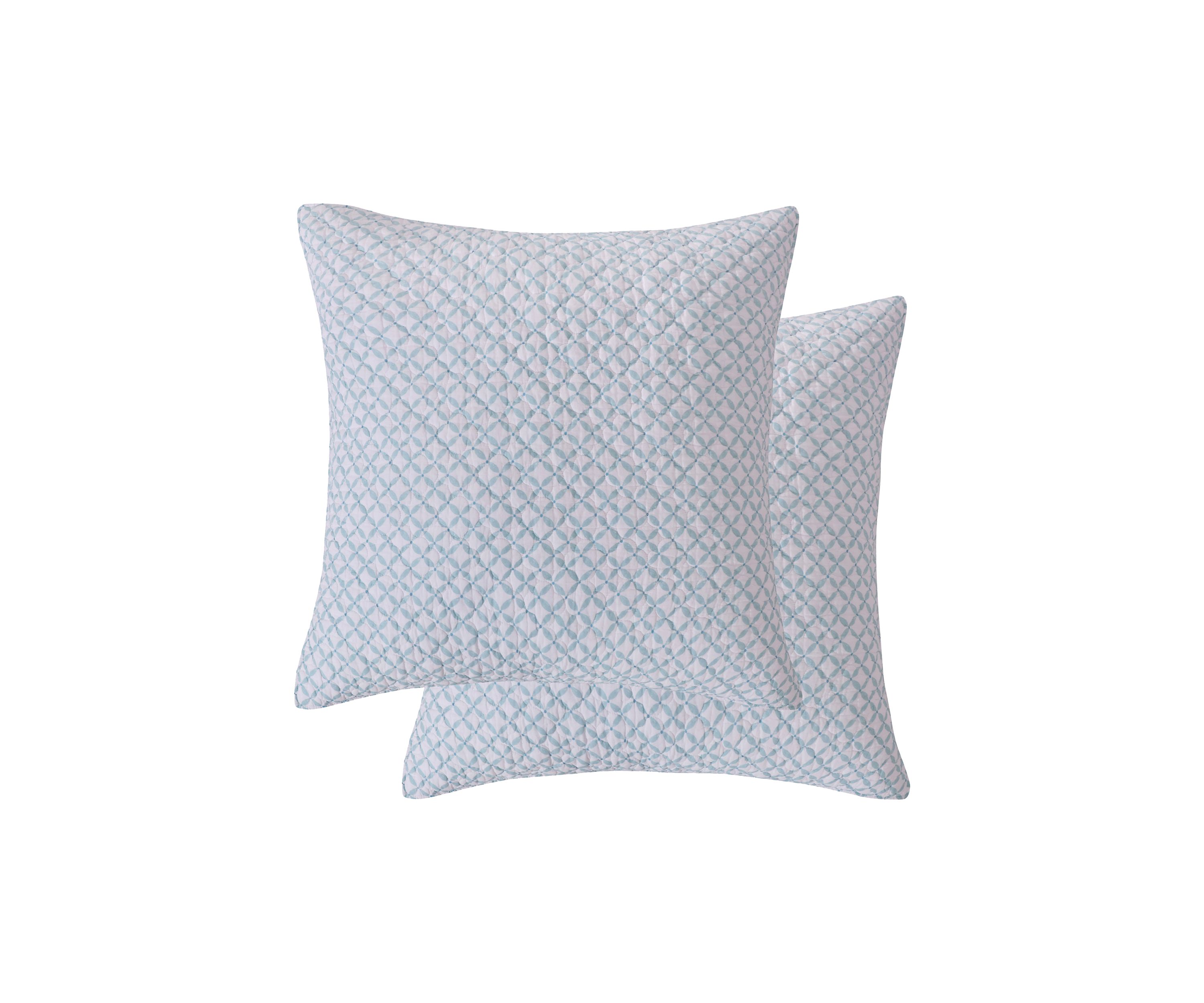 Cortona Paisley Euro Sham 2 Pack 