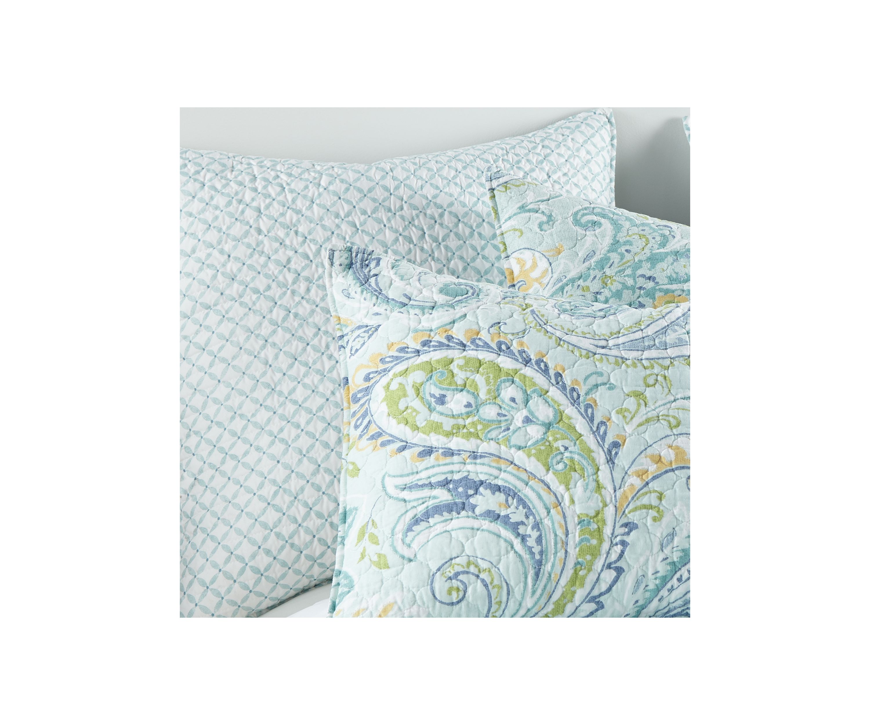 Cortona Paisley Euro Sham 2 Pack 