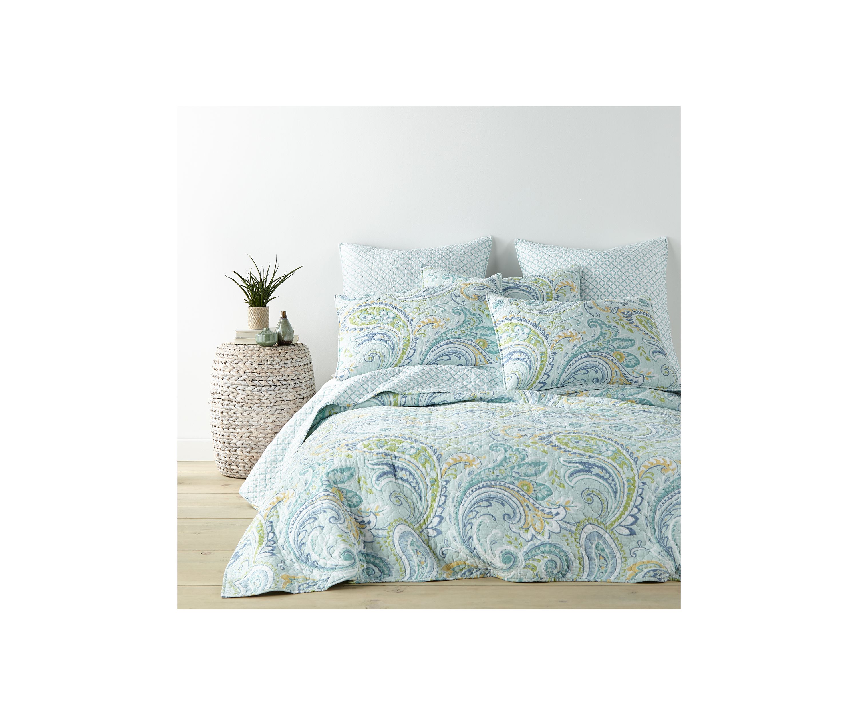 Cortona Paisley Euro Sham 2 Pack 