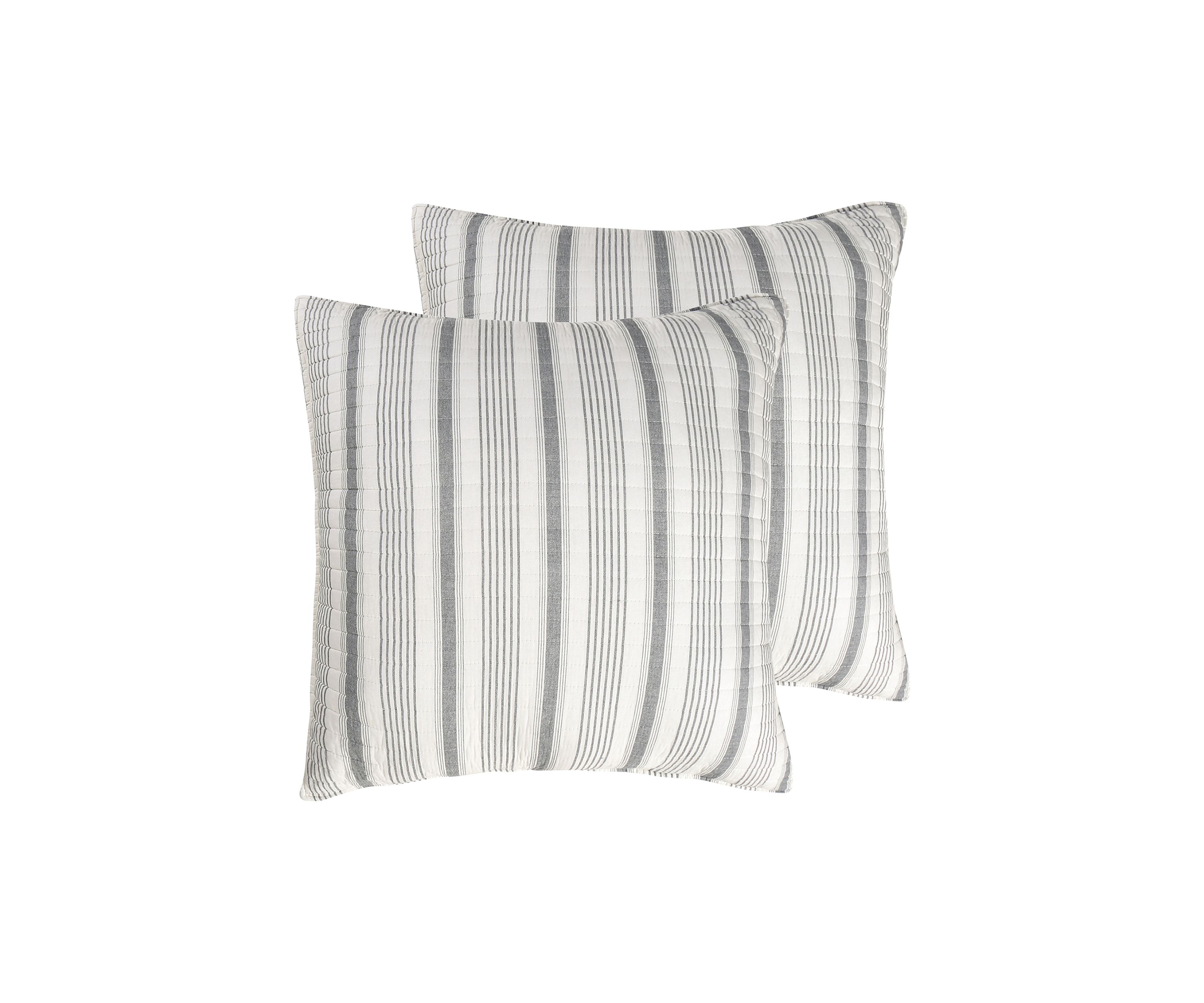 Camden Grey Euro Sham Set of 2
