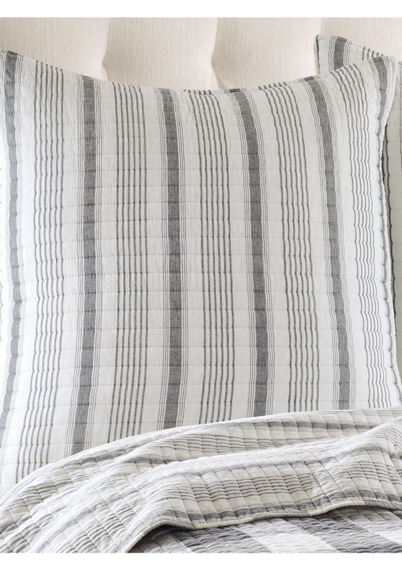 Camden Grey Euro Sham Set of 2