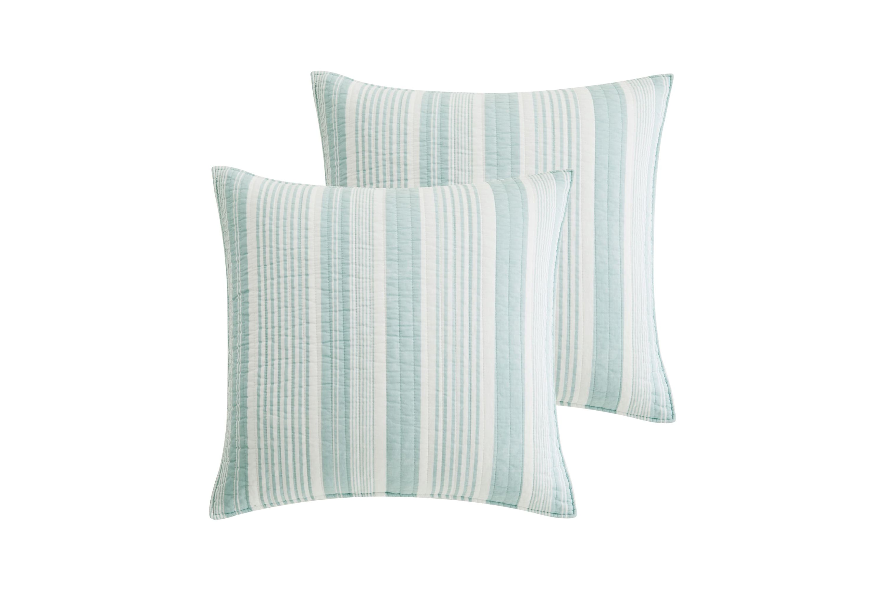 Aqua Breeze Euro Sham Set of 2