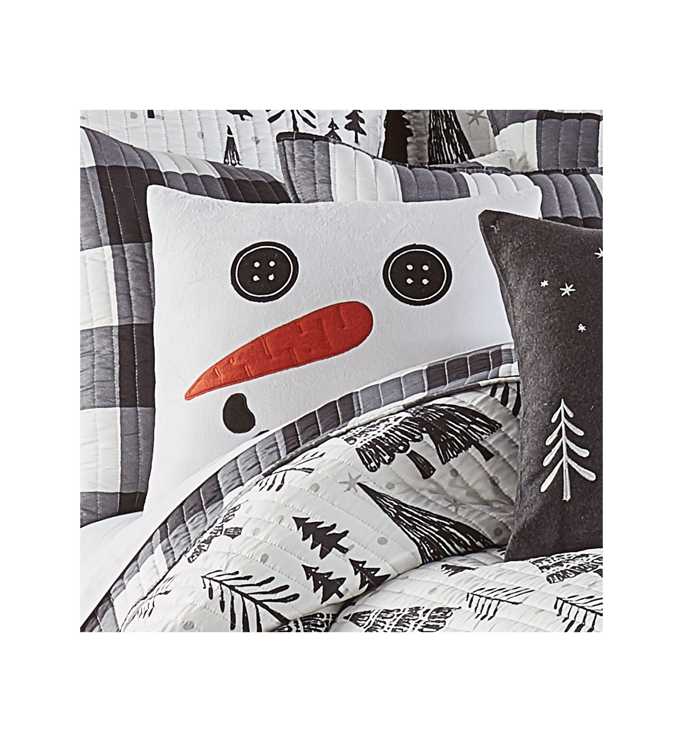 Northern Star Frosty Appliquéd Pillow