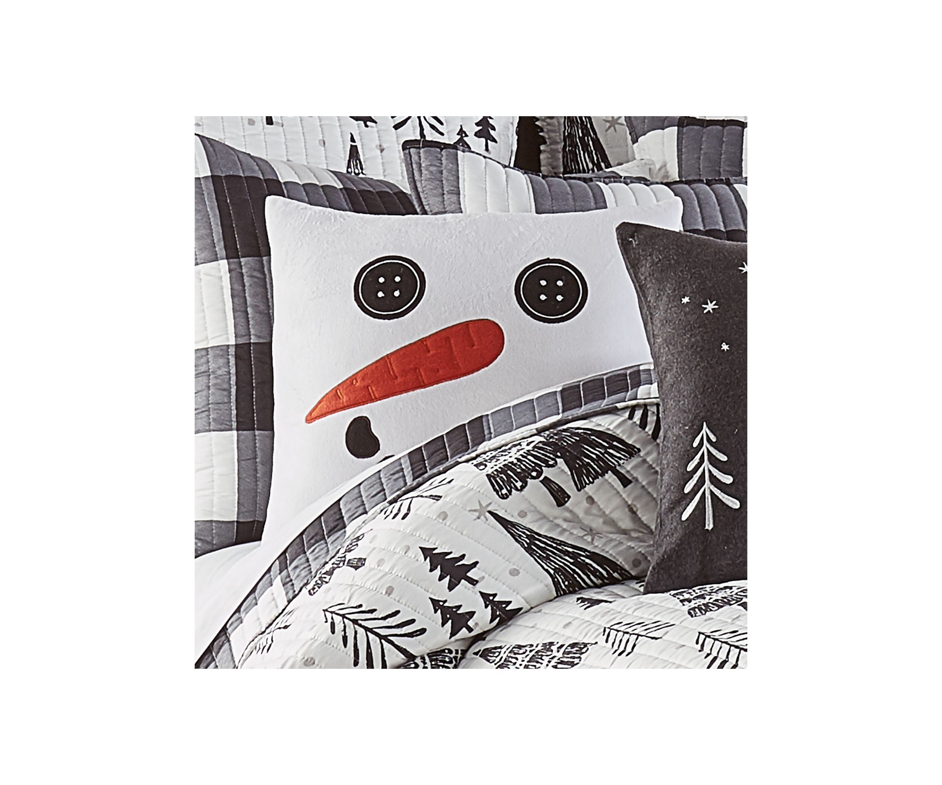 Northern Star Frosty Appliquéd Pillow