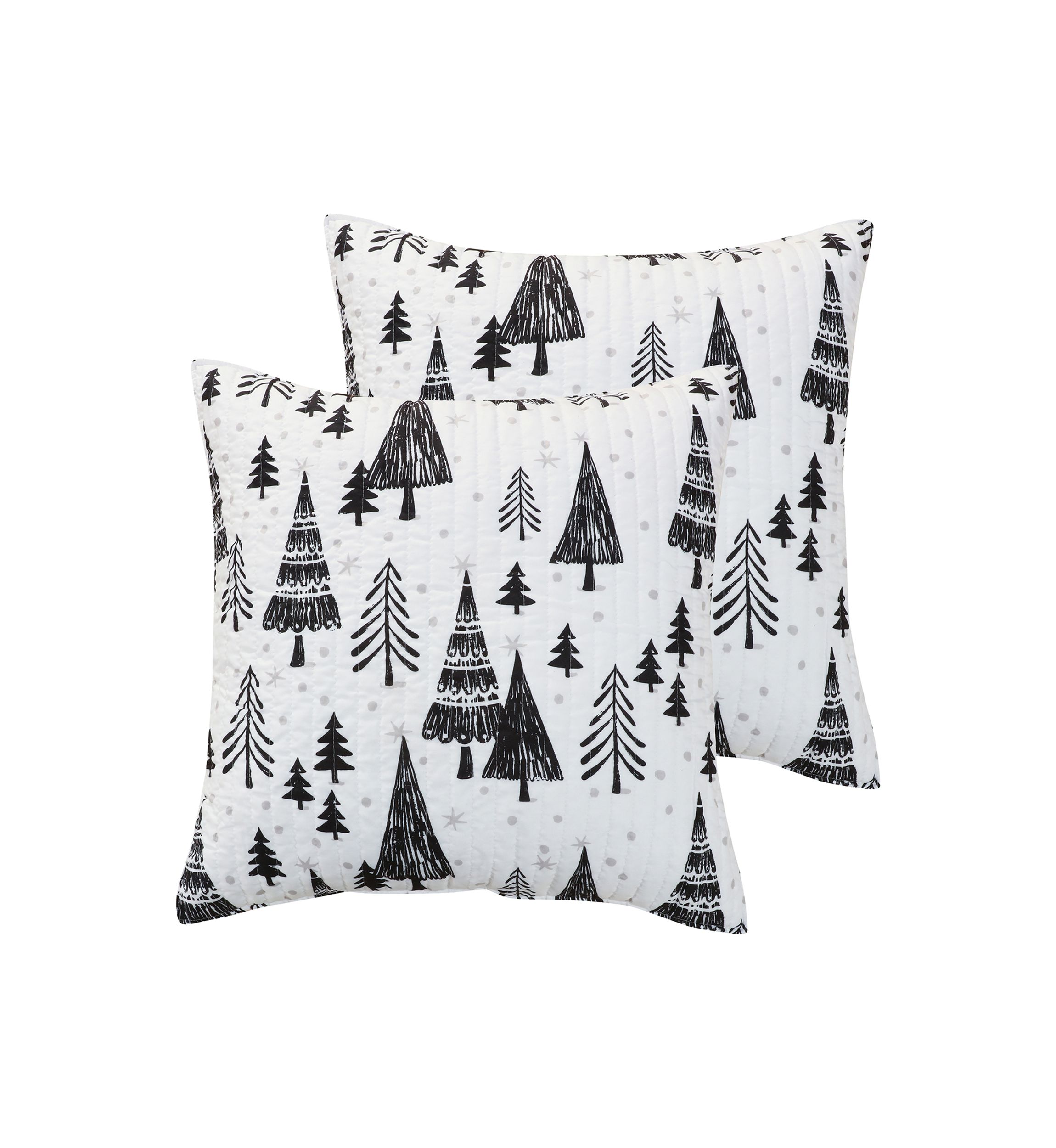 Northern Star Euro Sham - Set of 2
