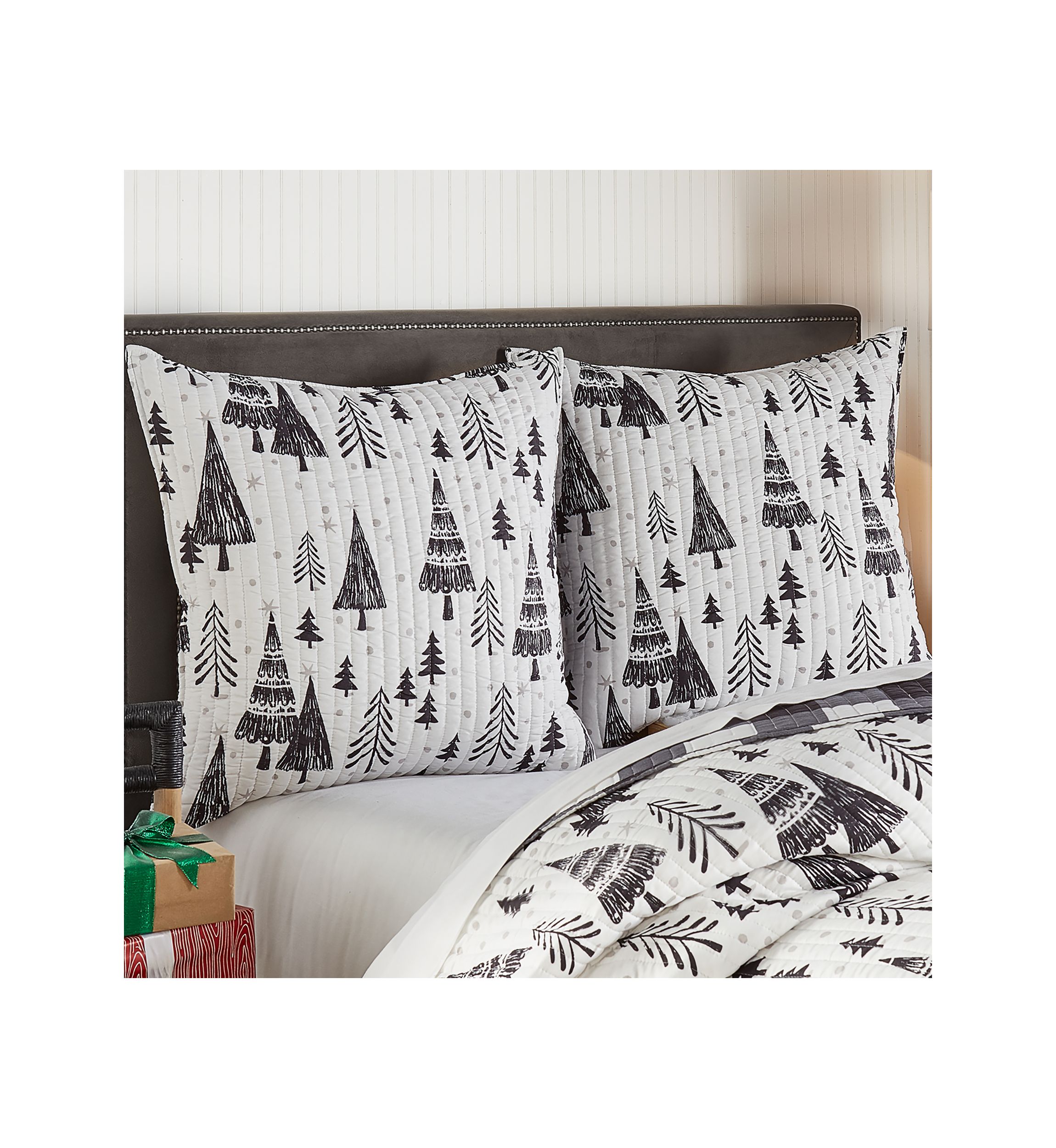 Northern Star Euro Sham - Set of 2